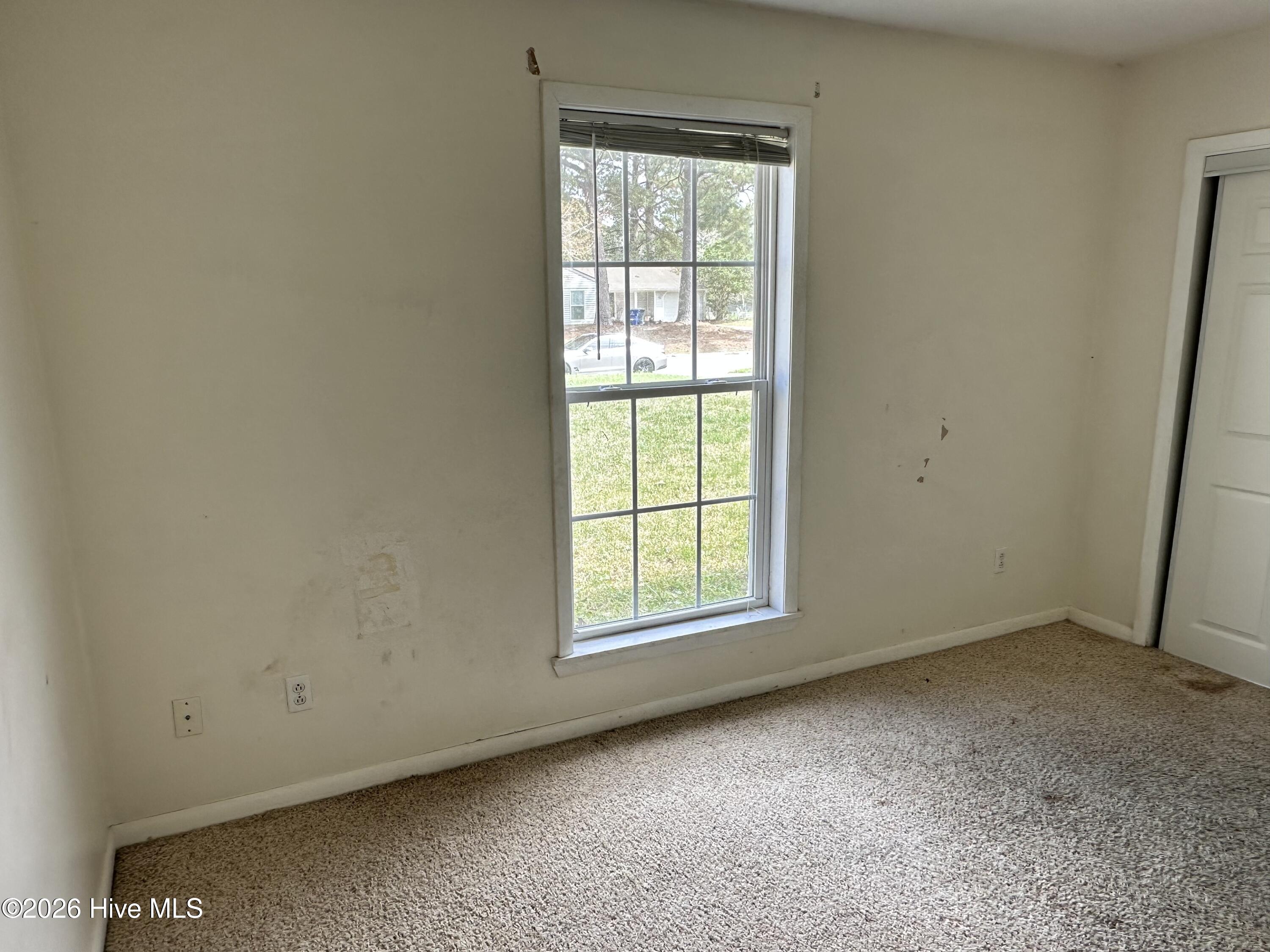 100568099 | Photo 13