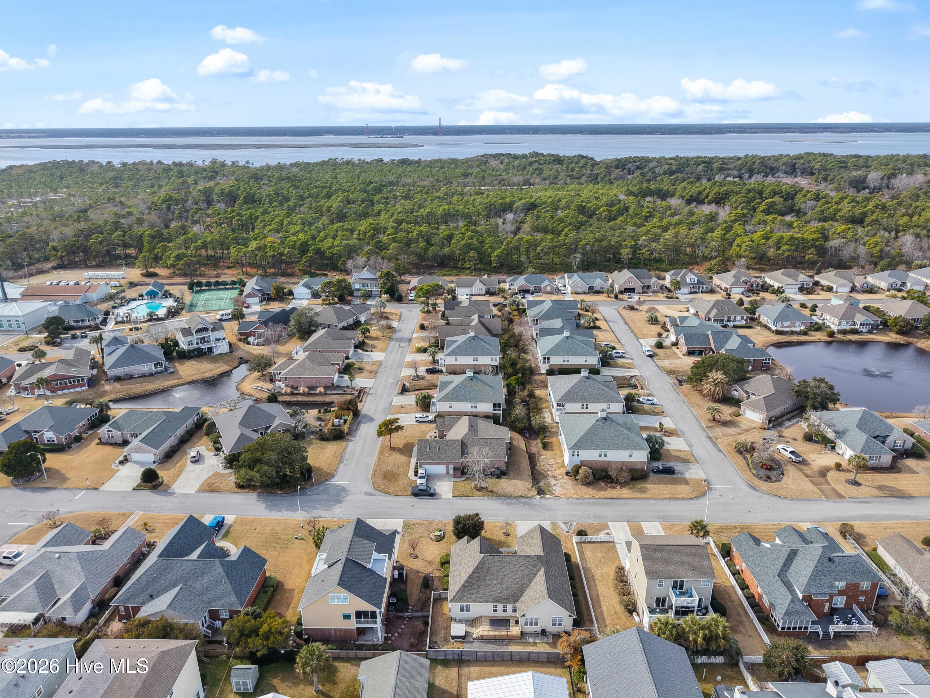 100555536 | Photo 56