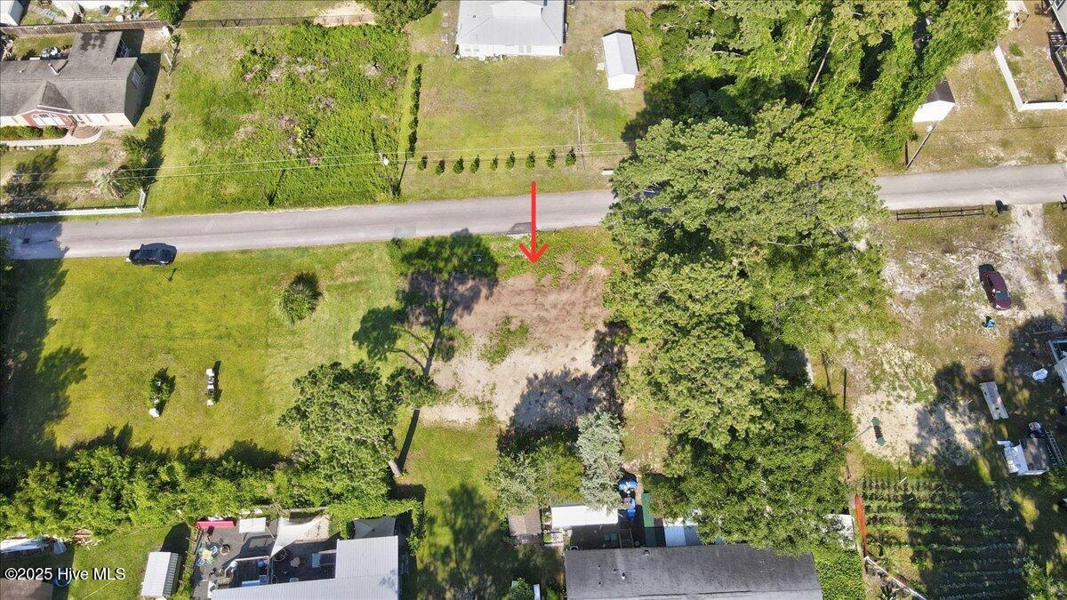 100568566 | Photo 17