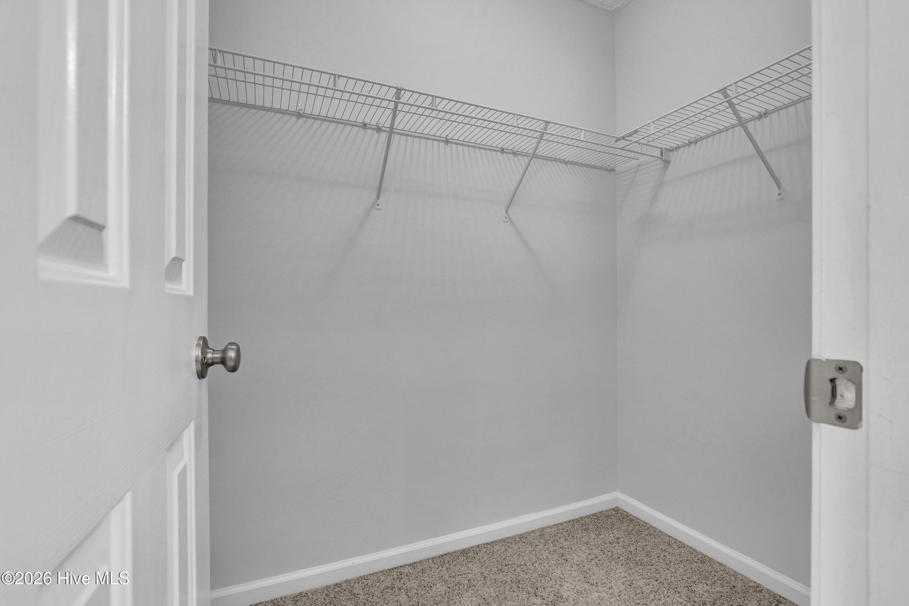 100549812 | Photo 23