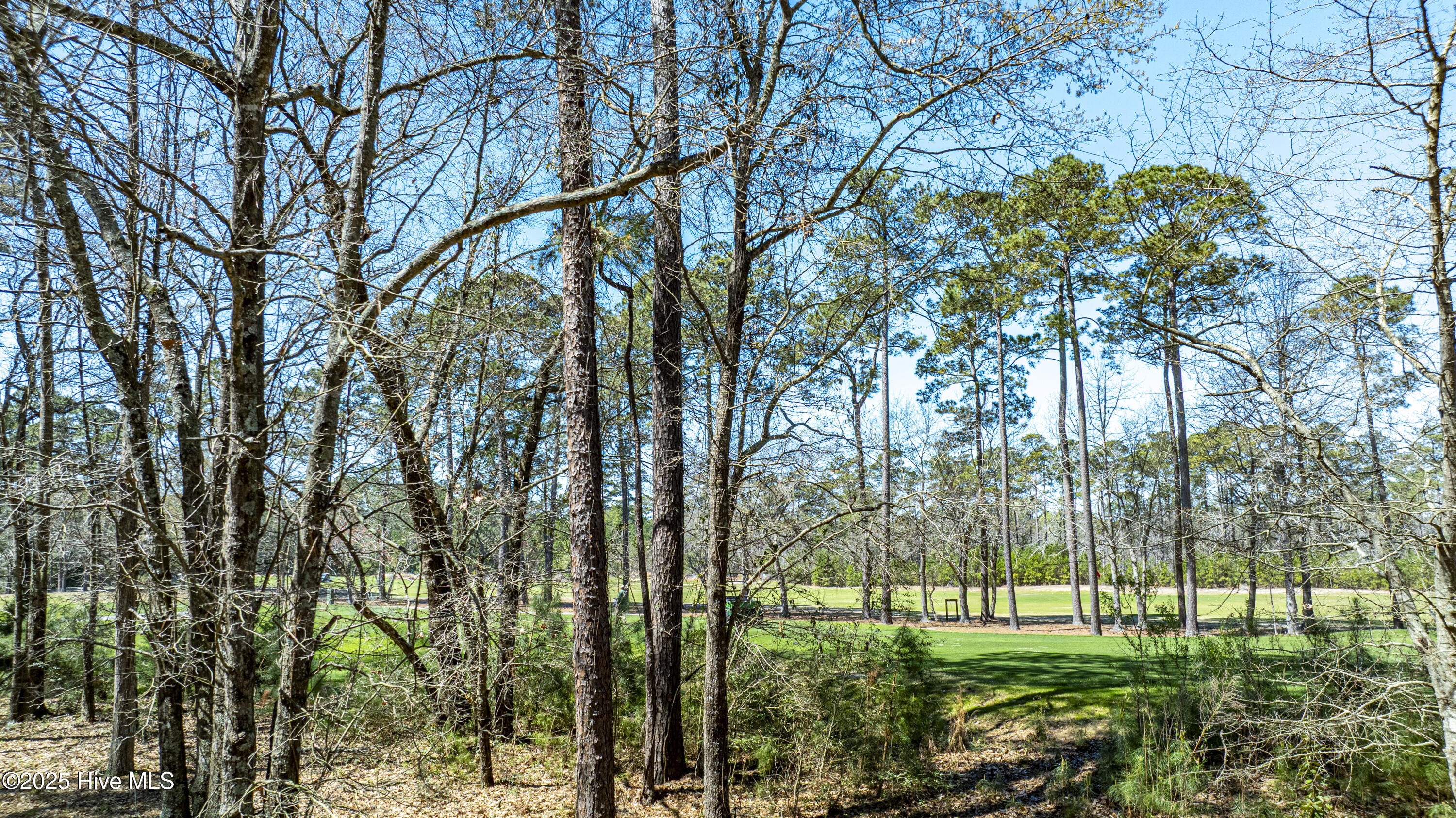 100498596 | Photo 24