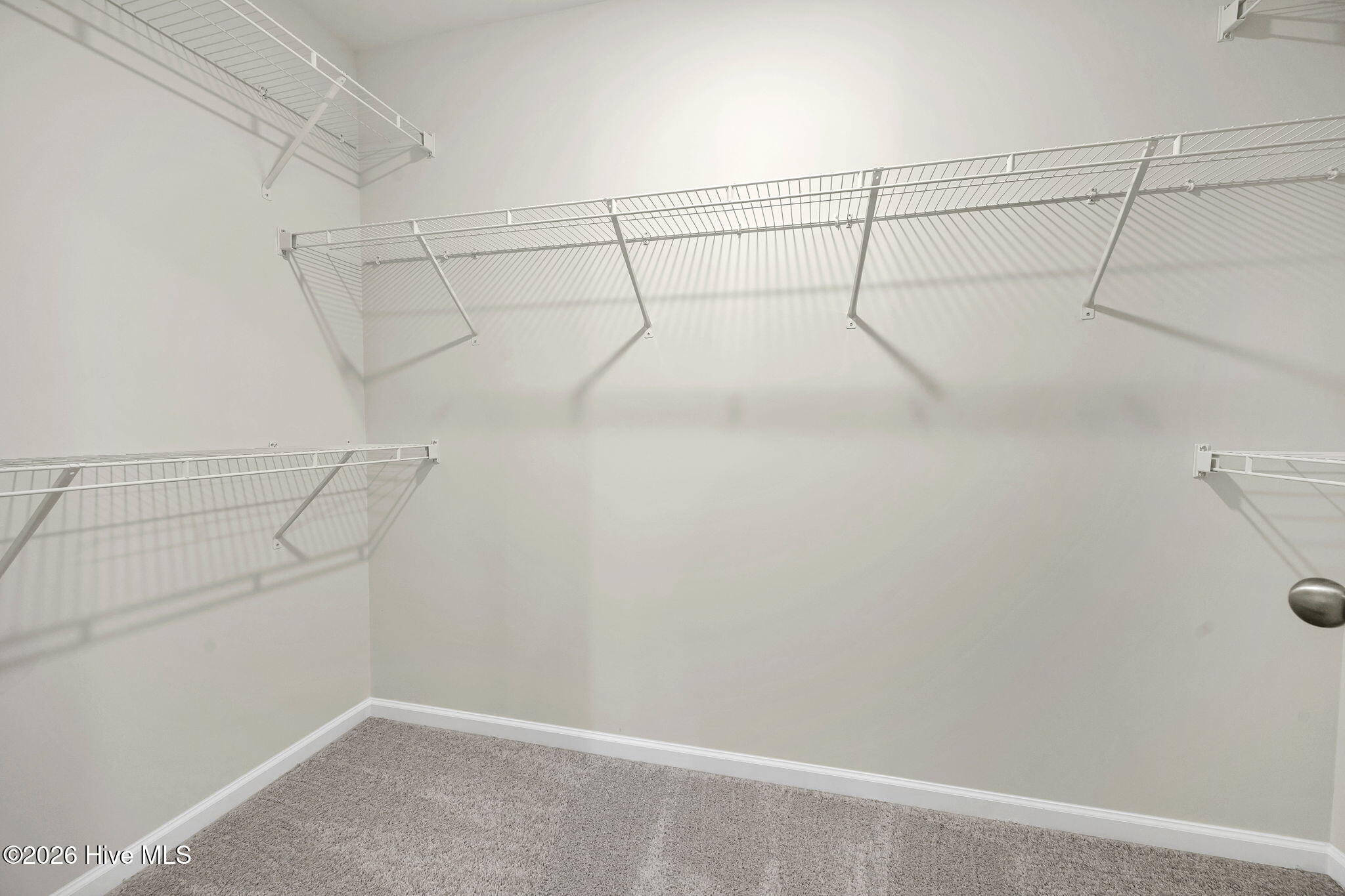 100551942 | Photo 12