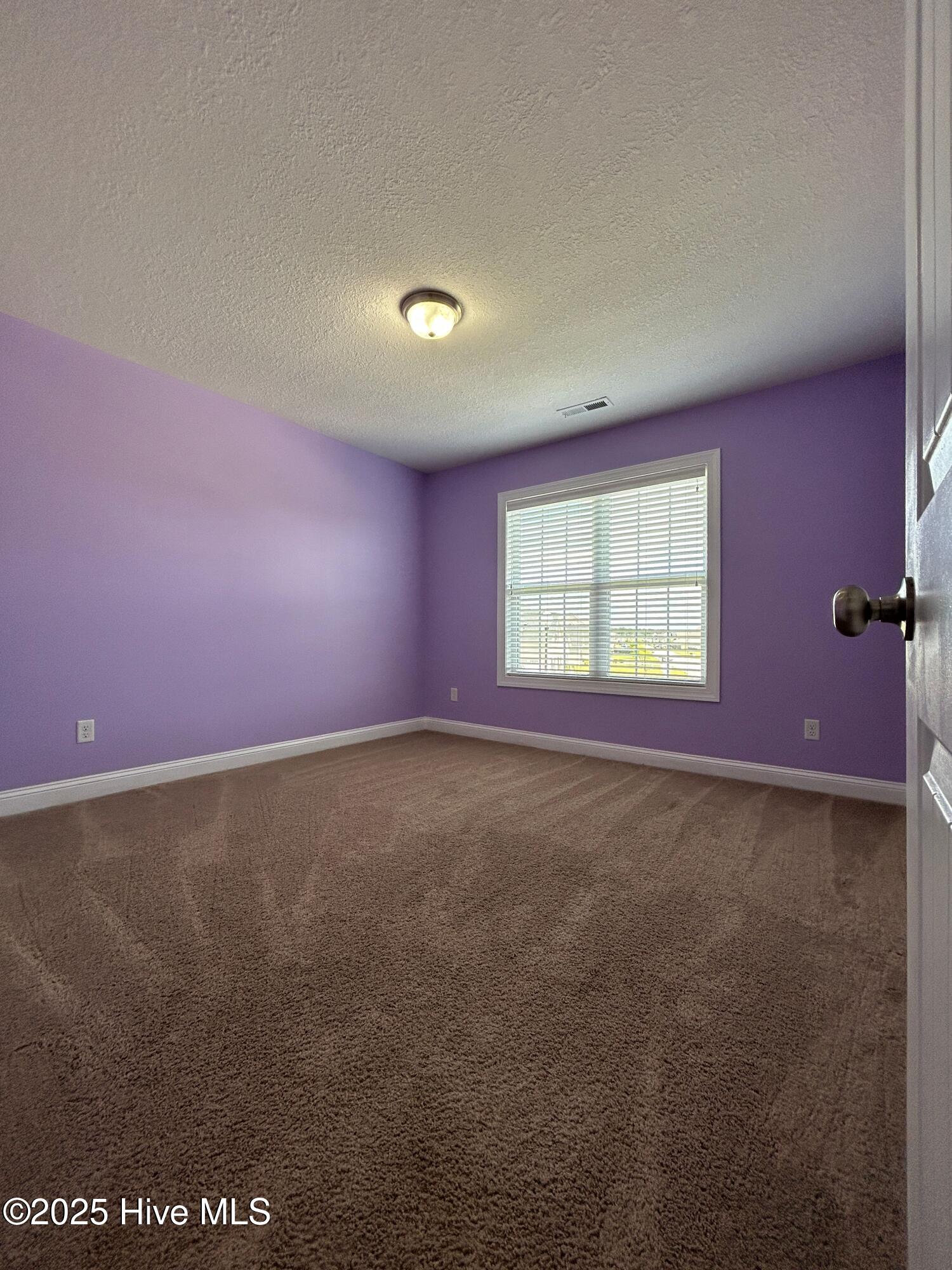 100528484 | Photo 38