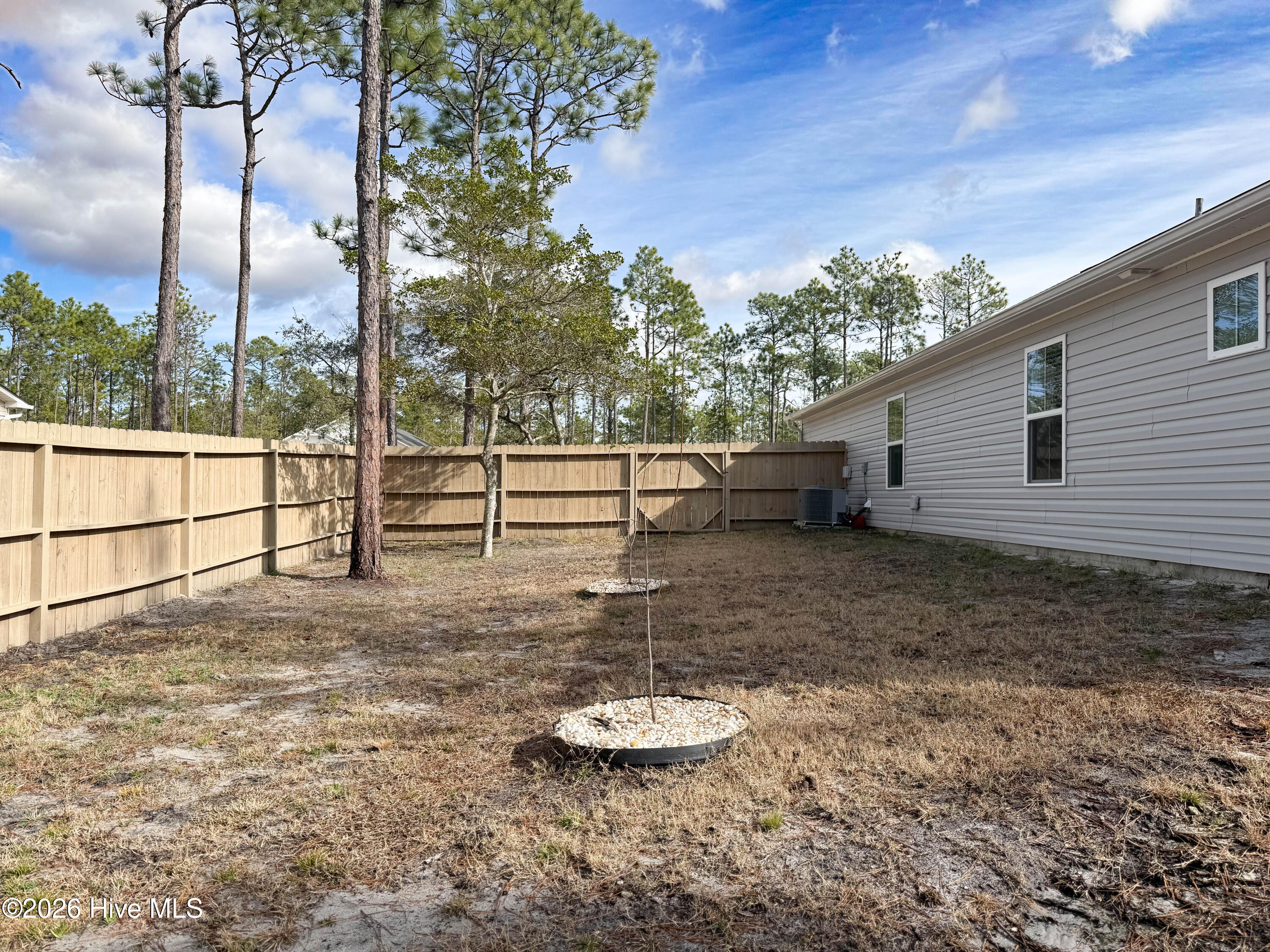 100548876 | Photo 39