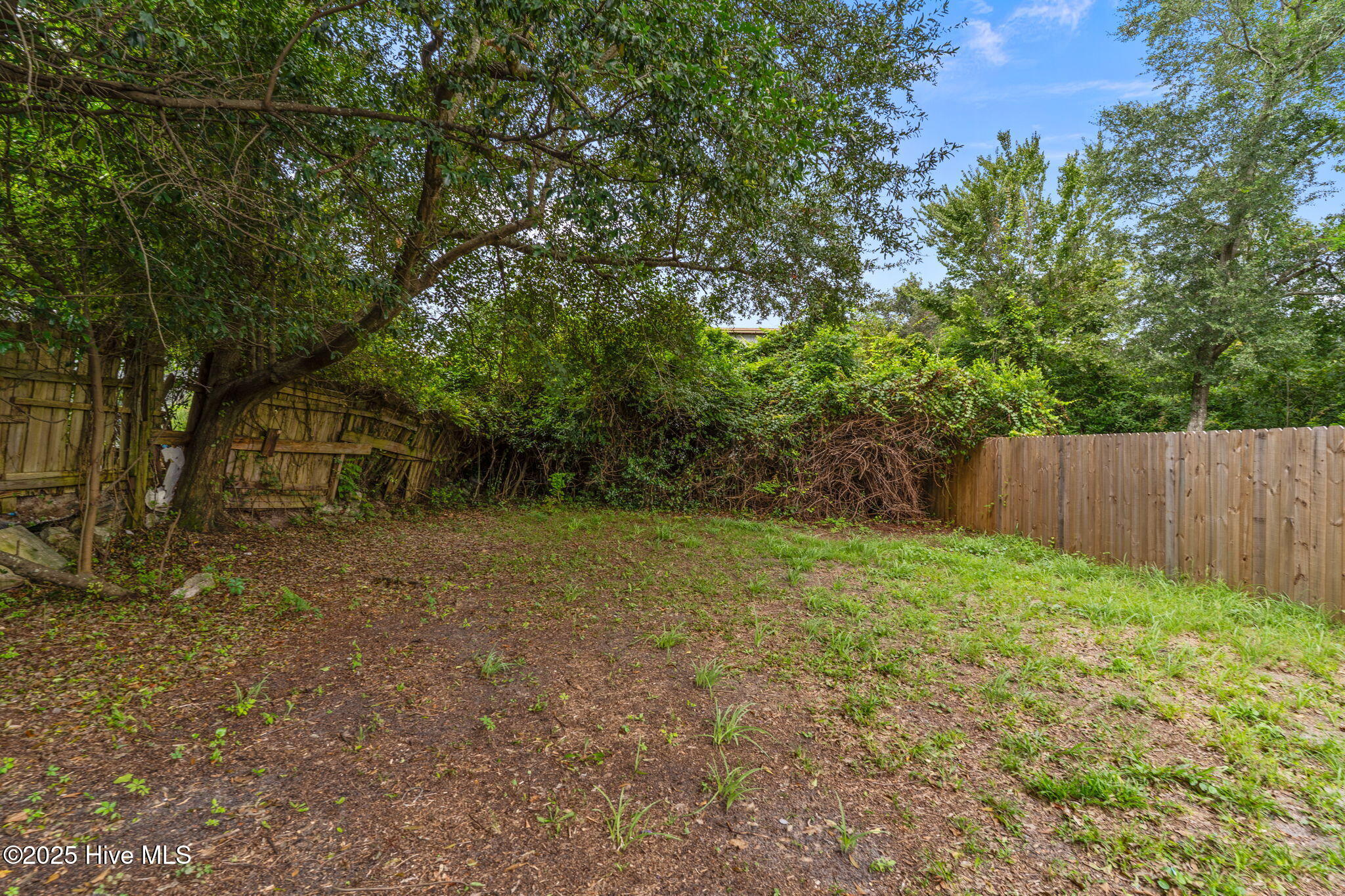 100528718 | Photo 32