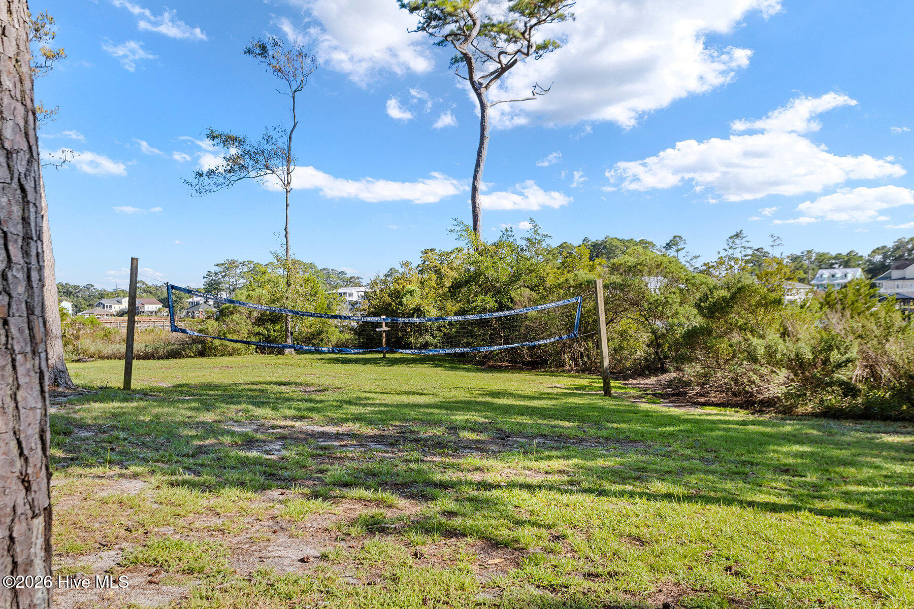 100558042 | Photo 111