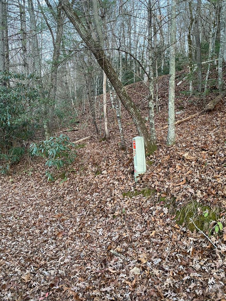 Exterior photo of Lot 5 The Landings, Robbinsville, NC 28771. MLS: 98524572