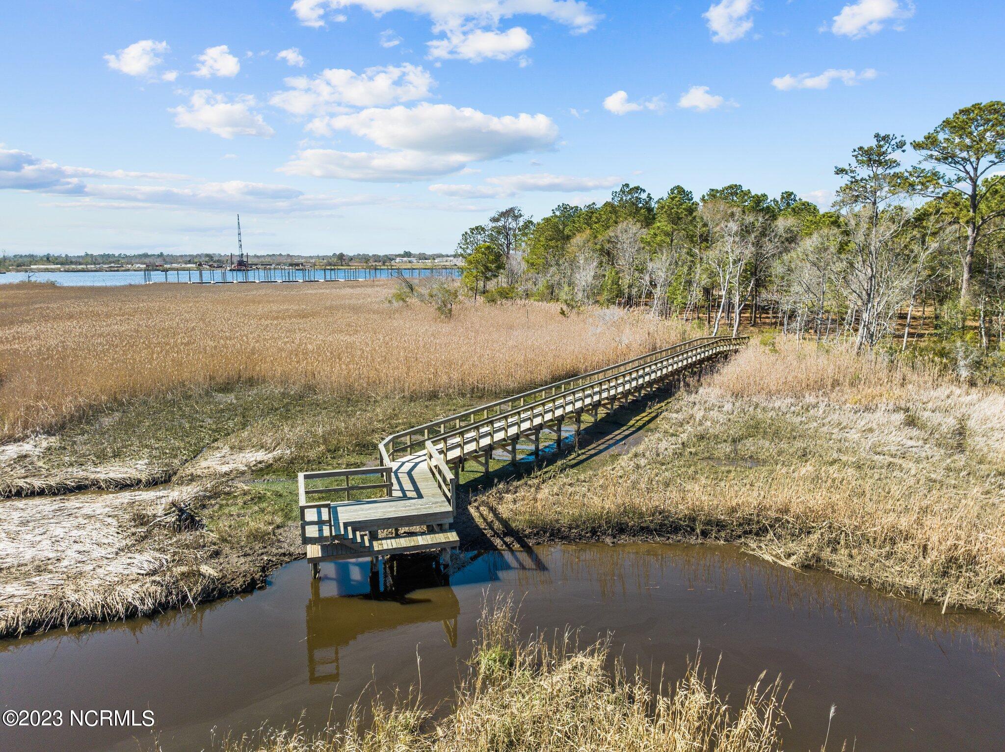 228 Preservation Point Avenue, Wilmington, NC, 28401