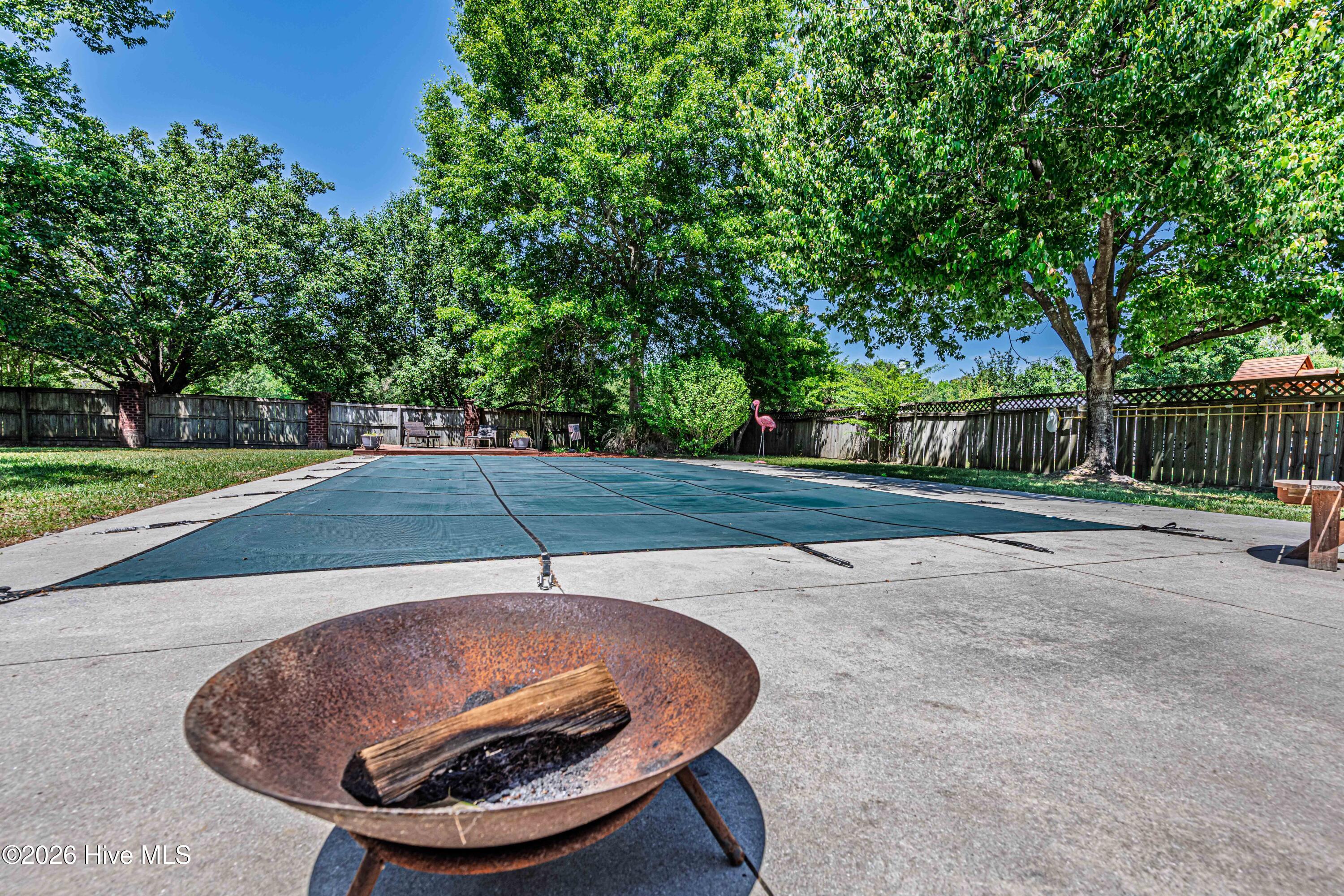 100569182 | Photo 64