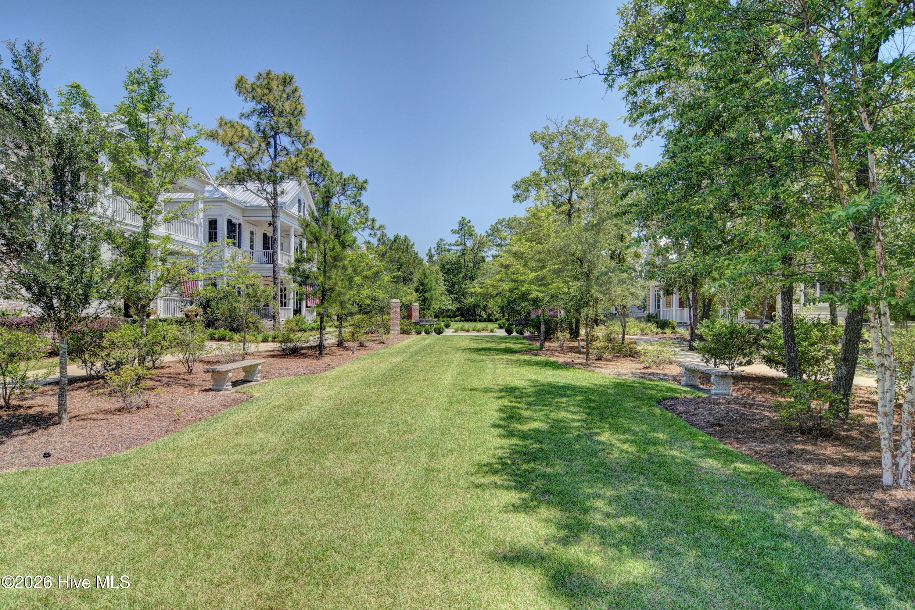 100549123 | Photo 49