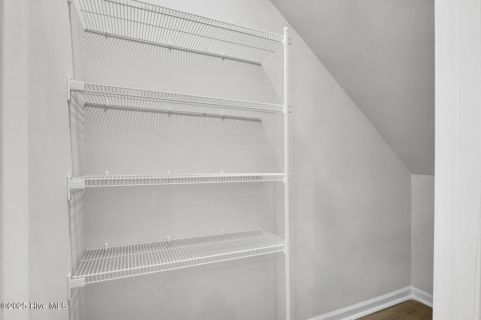 100526536 | Photo 12