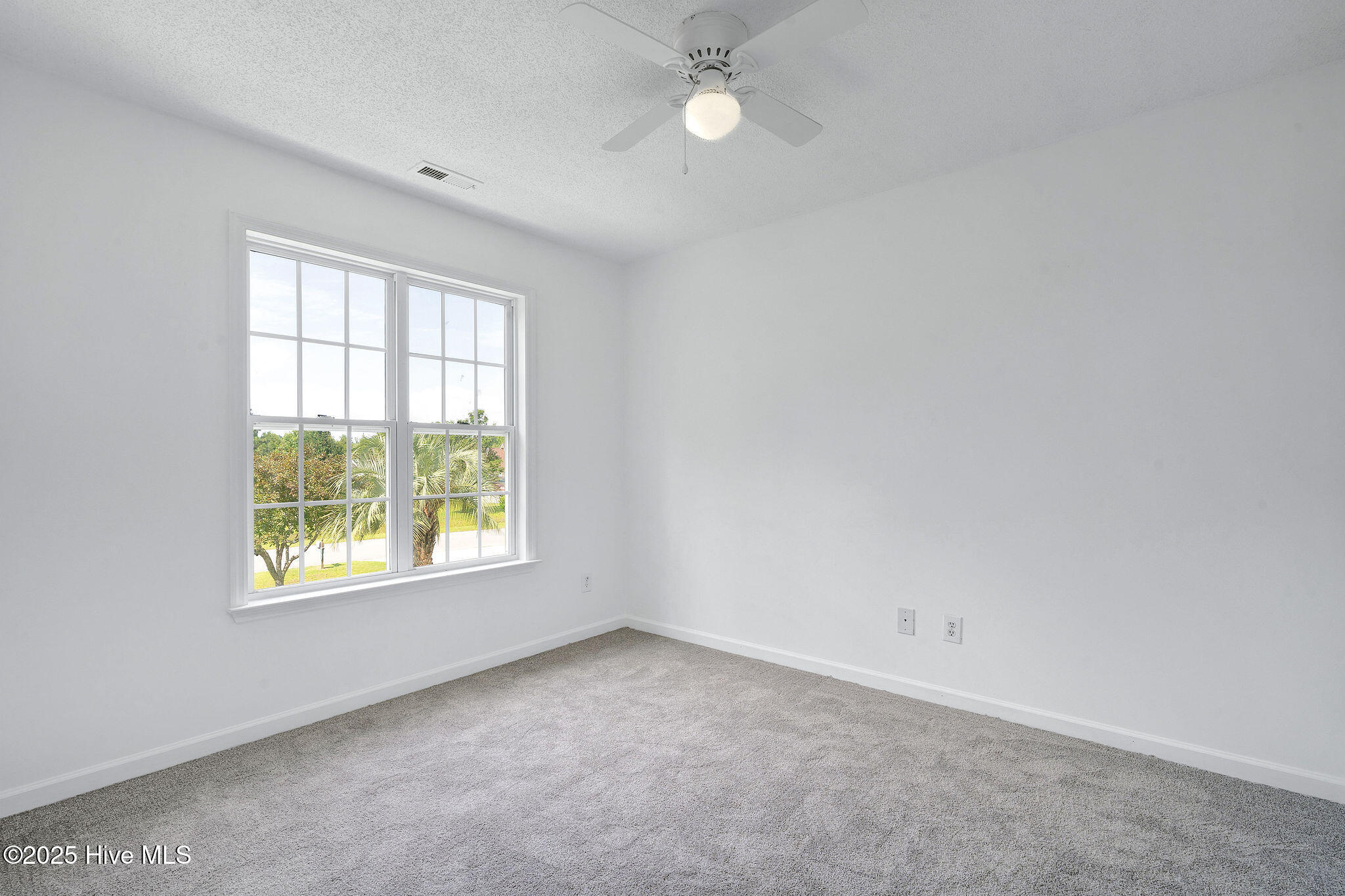 161 Bottle Branch Drive, Burgaw, NC 28425 – photo 20: 161bottlebranch19