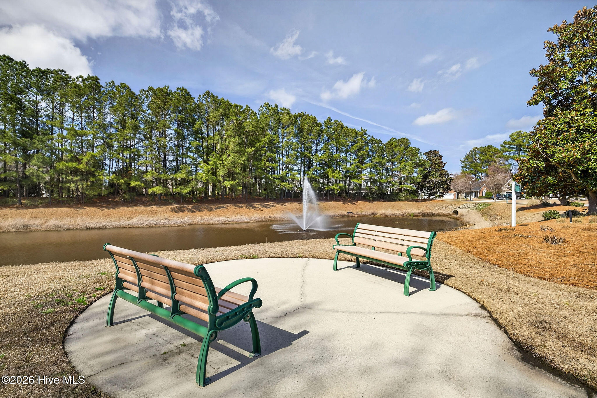 100558563 | Photo 21