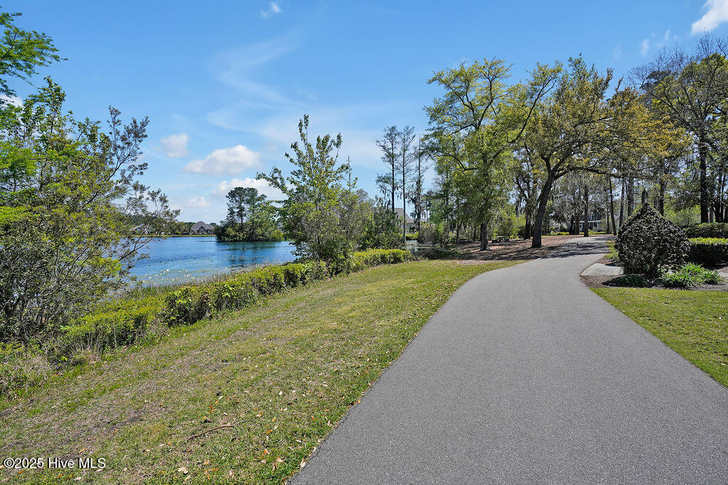 100531684 | Photo 58