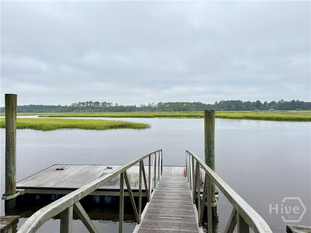 Homes for sale in Townsend, GA | 1142 River Dr Ne, Townsend, GA 31331 | MLS# SA338681