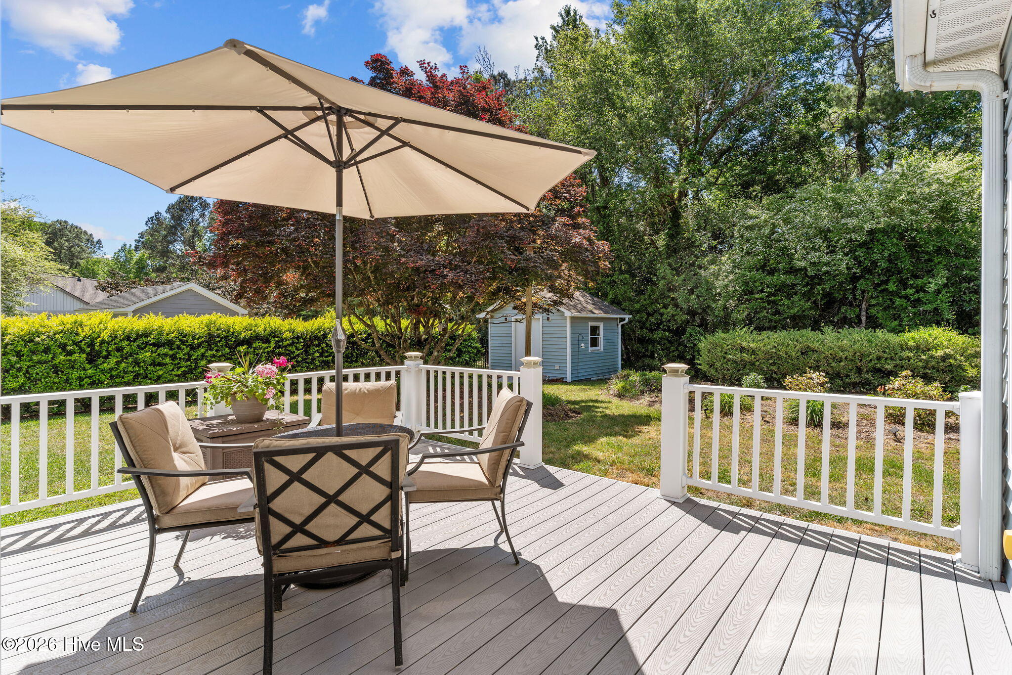 100568995 | Photo 34