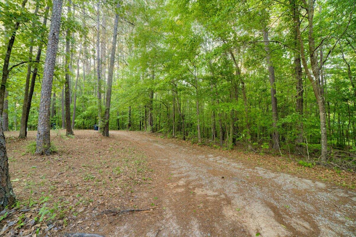 Ray Owens Road, Appling, GA 30802 Listing Photo  1