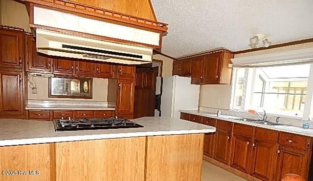 Homes for sale in Magnolia, NC | 149 Jeff Murphy Ln, Magnolia, NC 28453 | MLS# 100542922