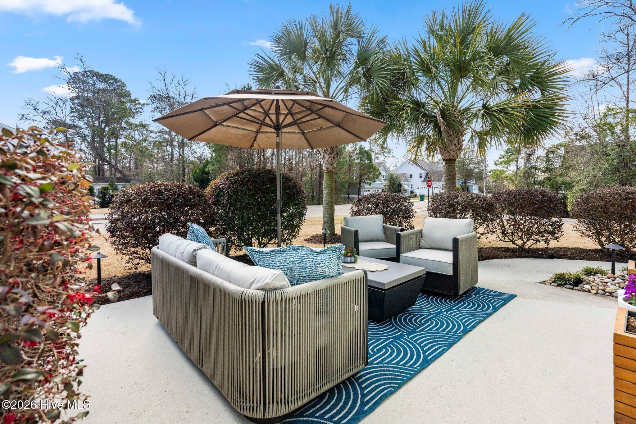 100558844 | Photo 43