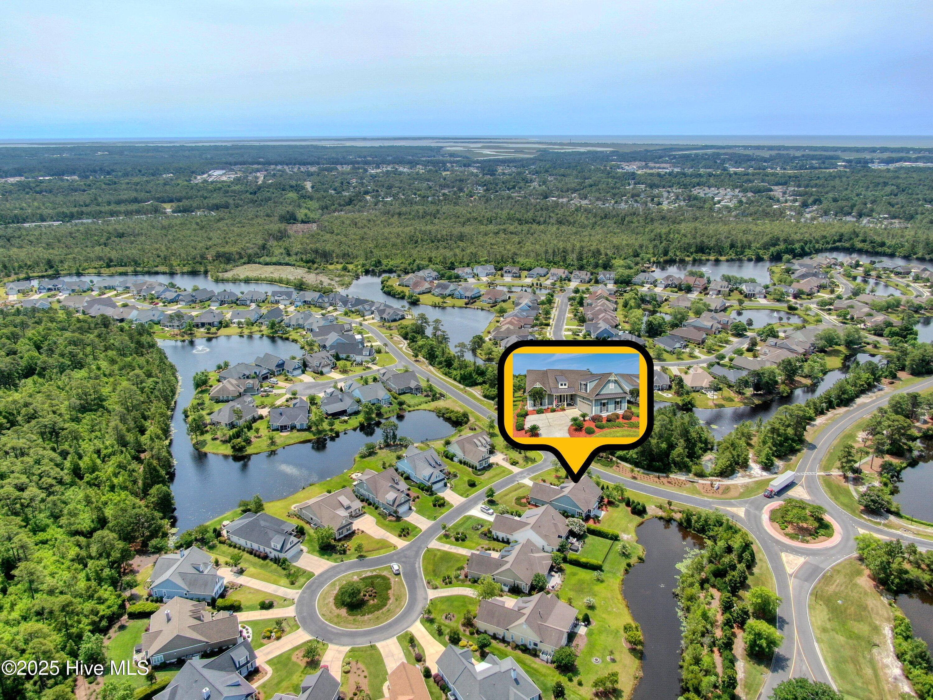 100553143 | Photo 43