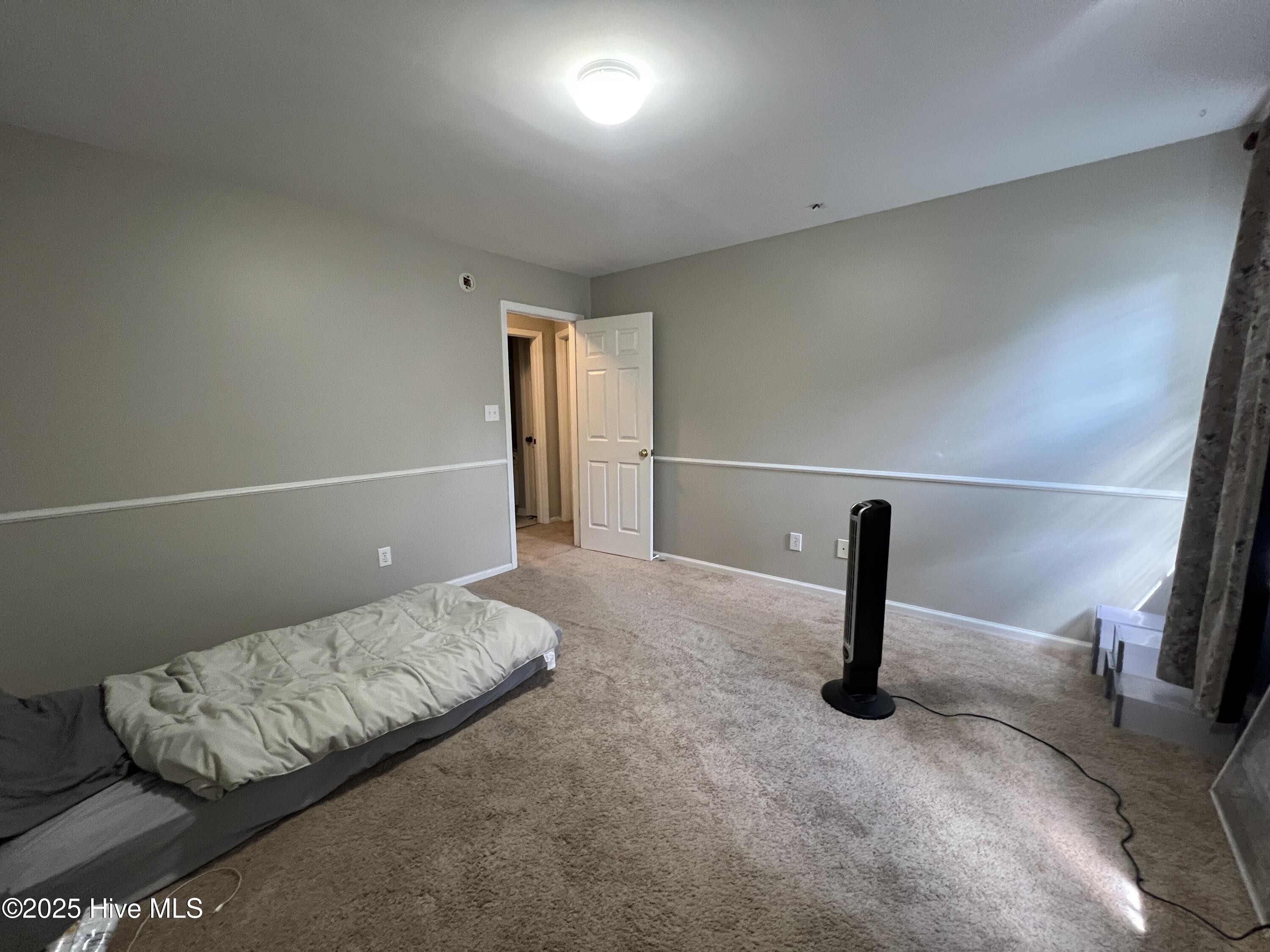 100522387 | Photo 15