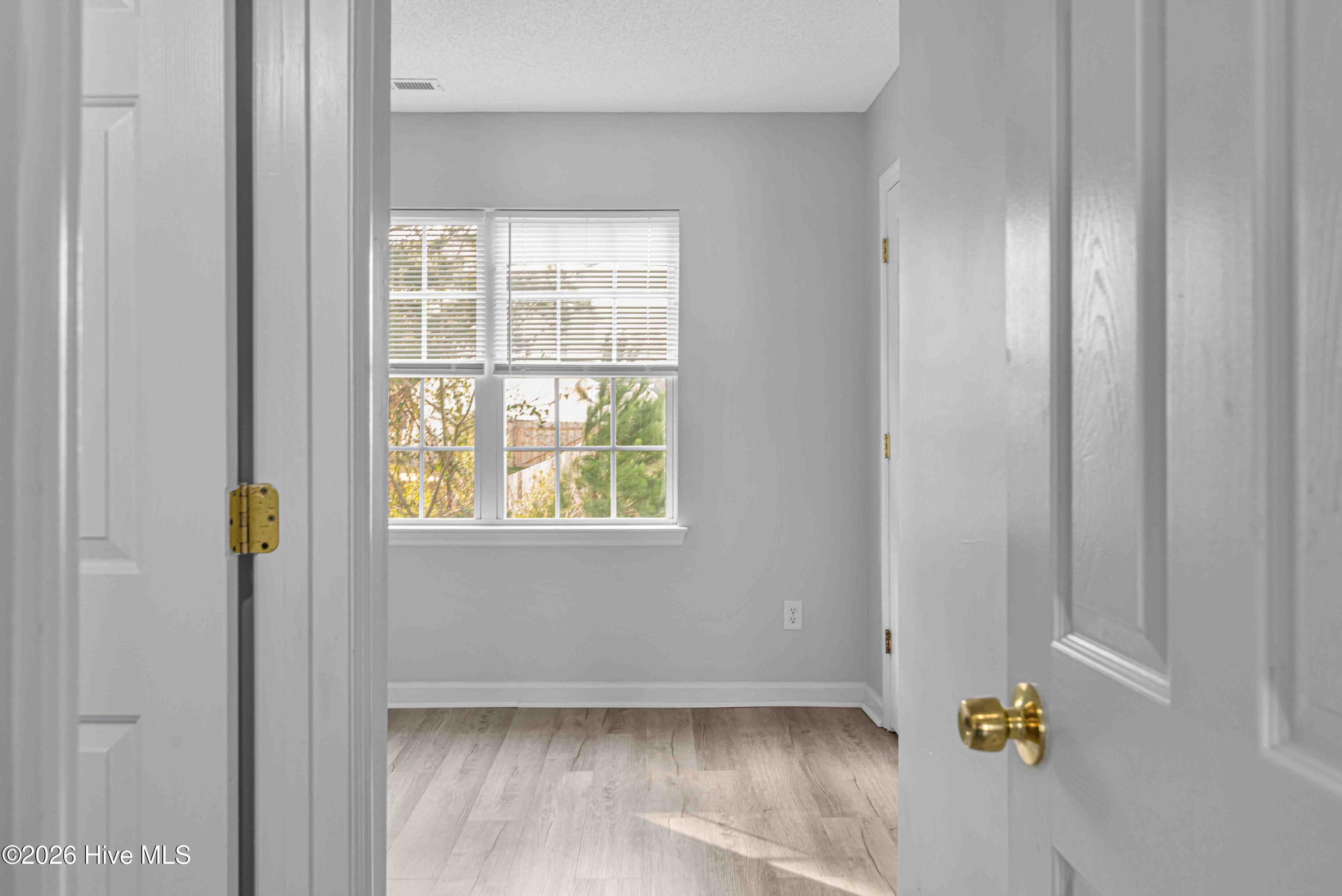 100558558 | Photo 16