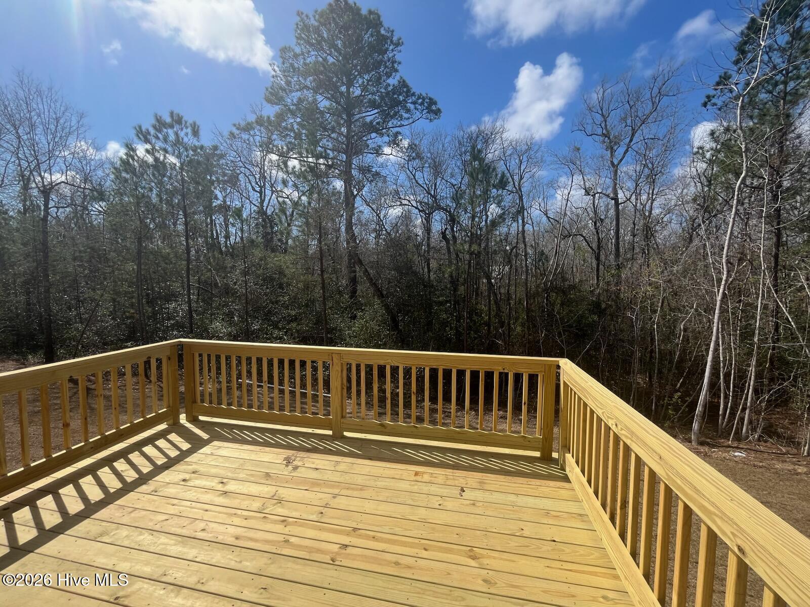 100558864 | Photo 40