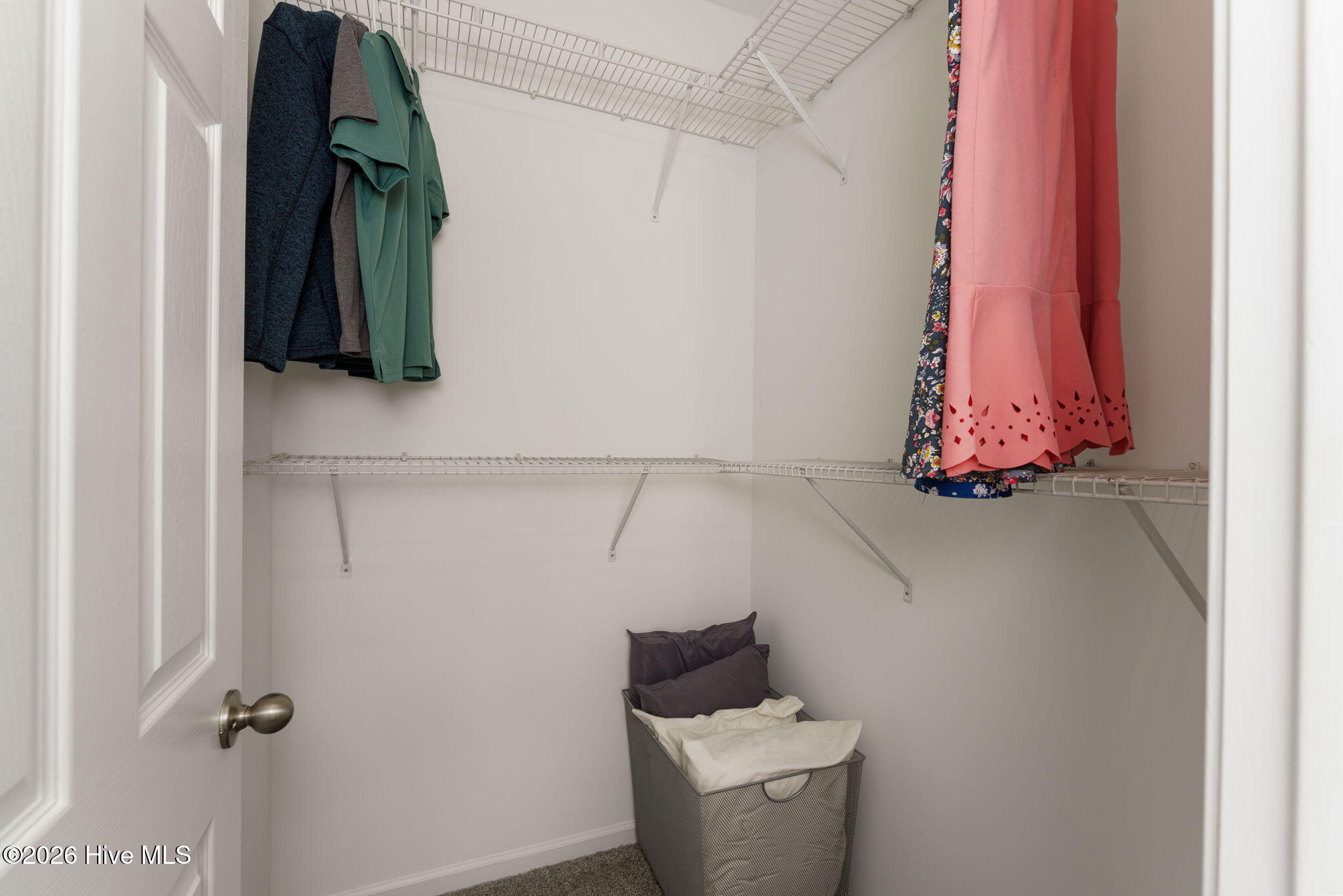 100563098 | Photo 18