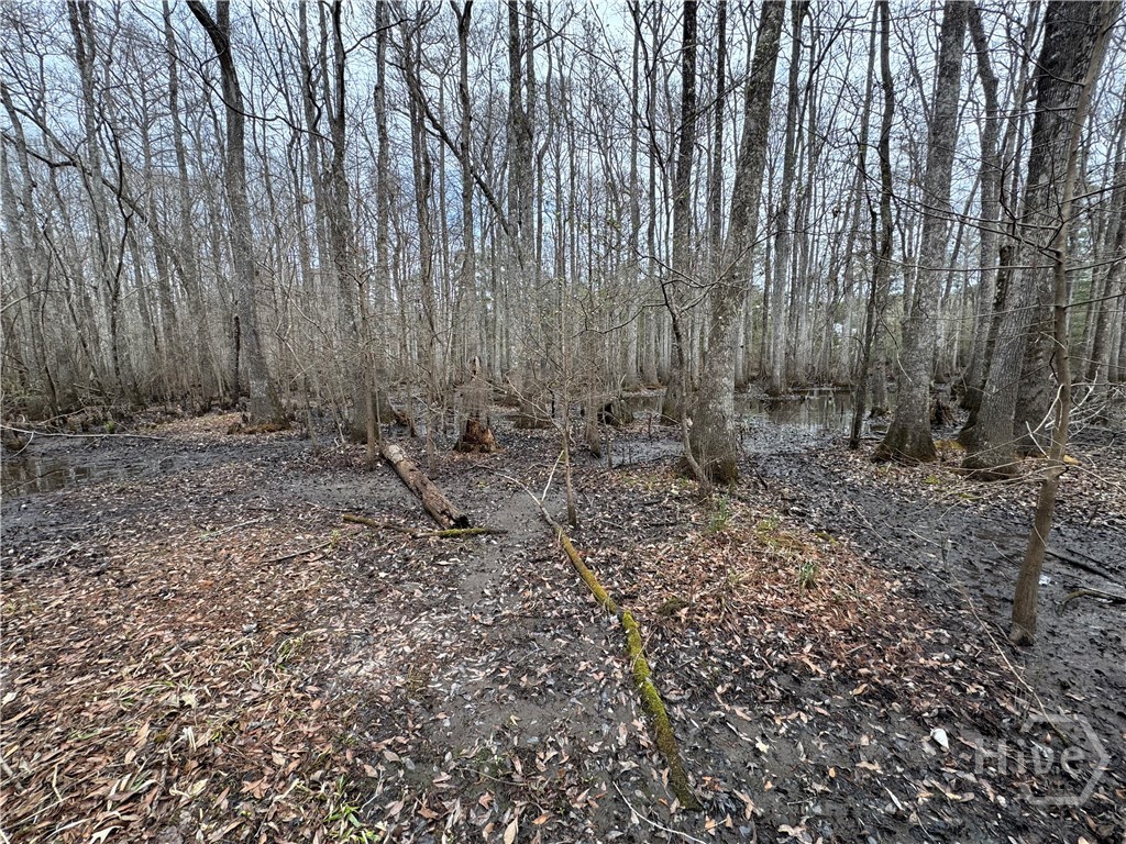 Homes for sale in Bloomingdale, GA | 0 Old Hwy 204 Hwy, Bloomingdale, GA 31302 | MLS# SA339548