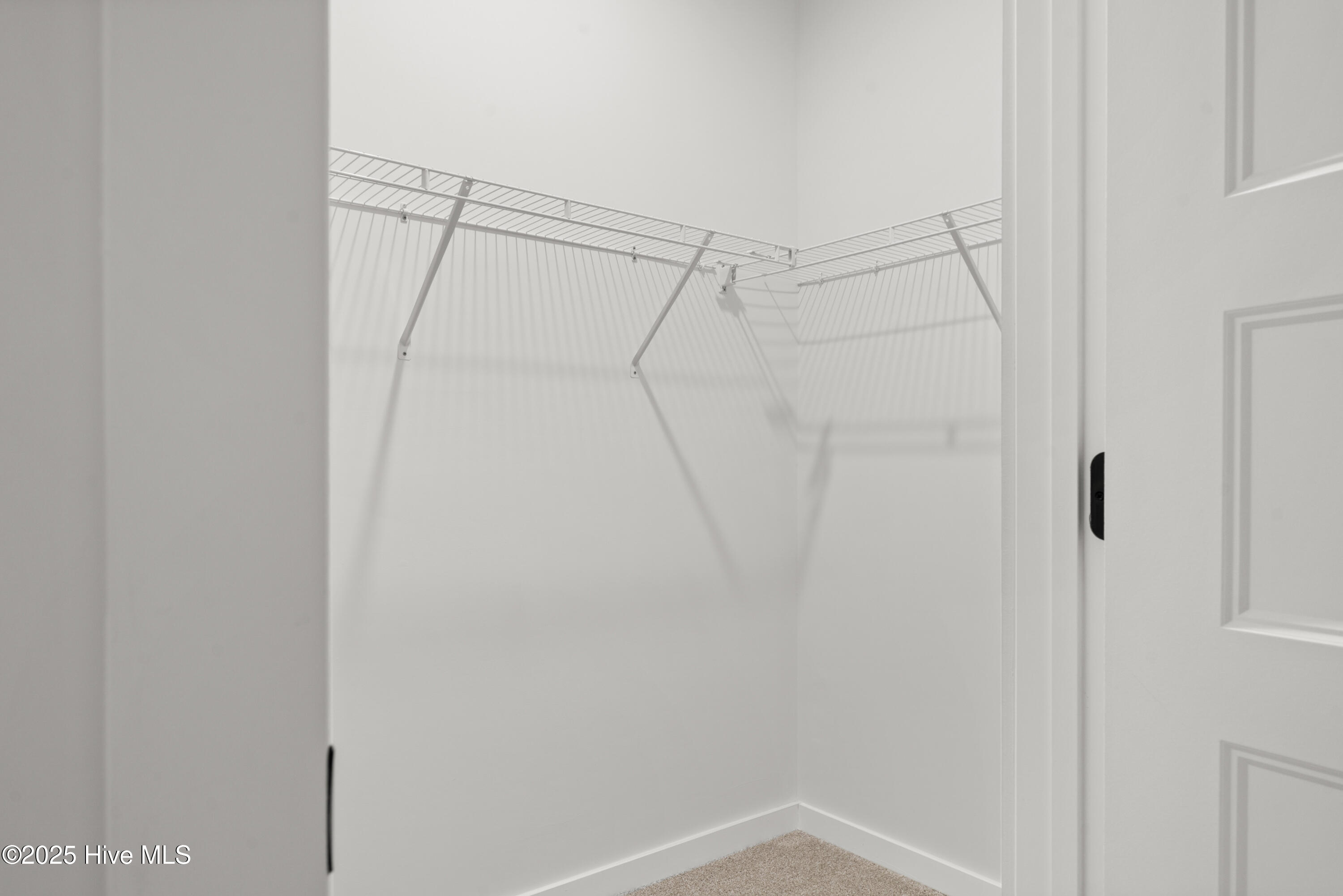 100546141 | Photo 20