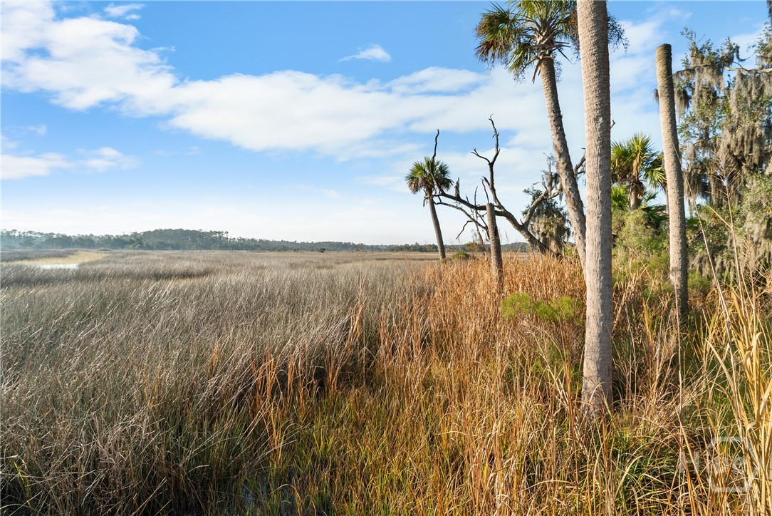 Homes for sale in Richmond Hill, GA | 255 Passaic Ln, Richmond Hill, GA 31324 | MLS# SA343345