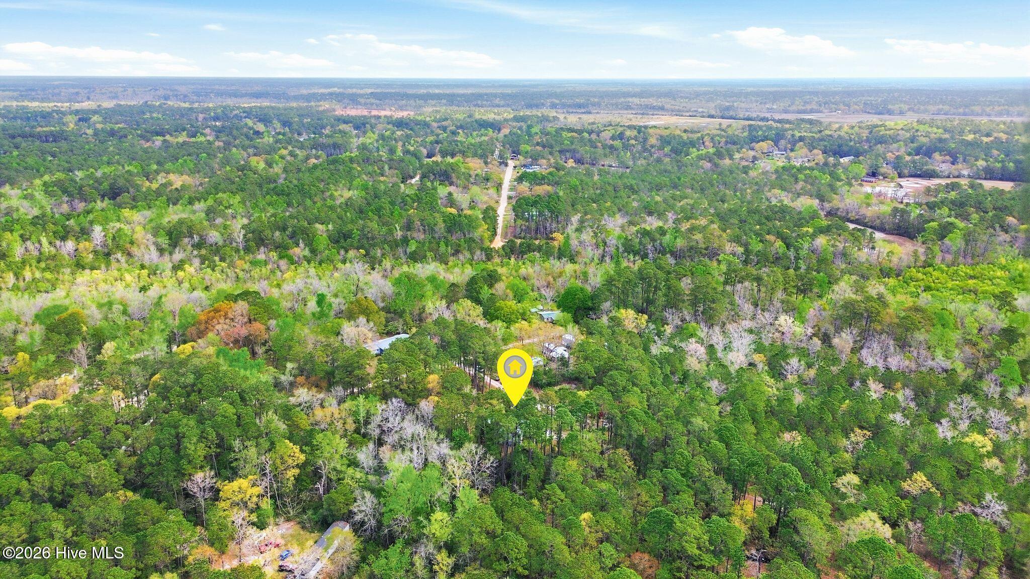 100565168 | Photo 49