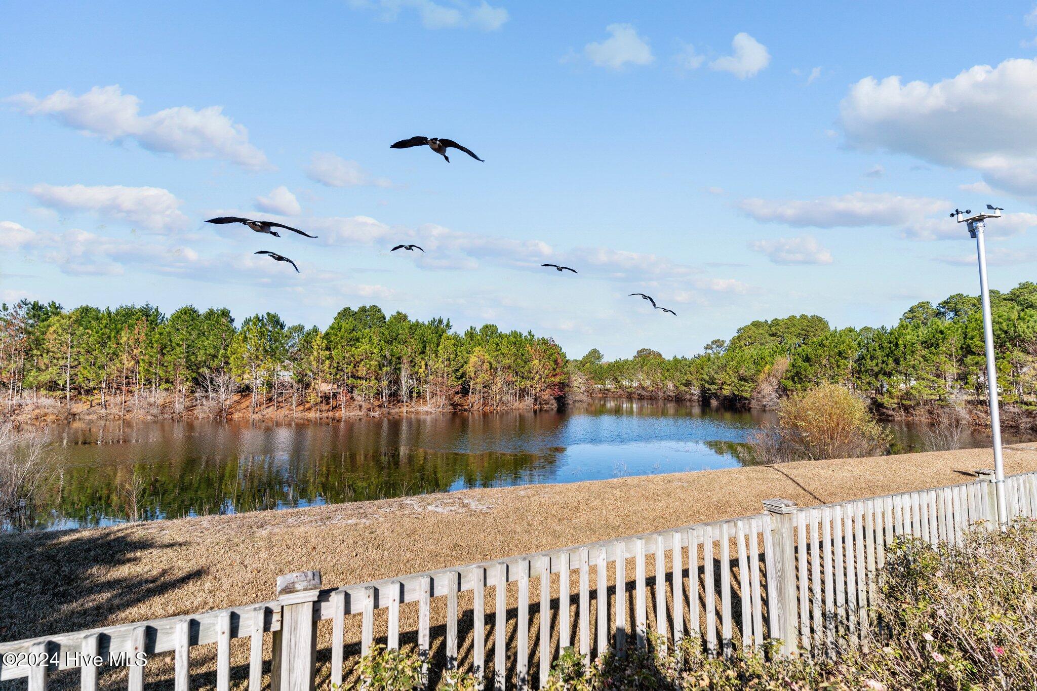 100474458 | Photo 43