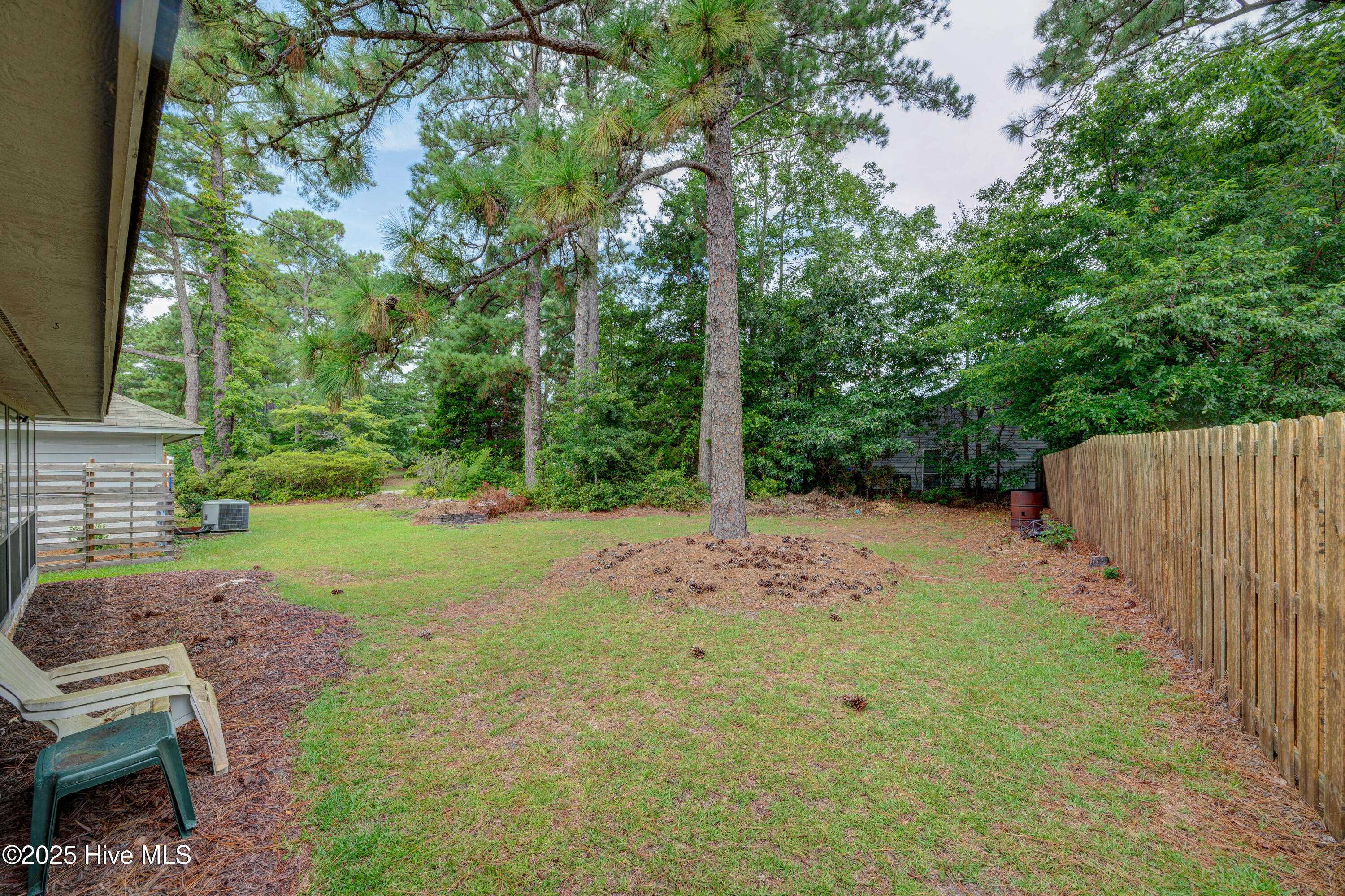 100524399 | Photo 32