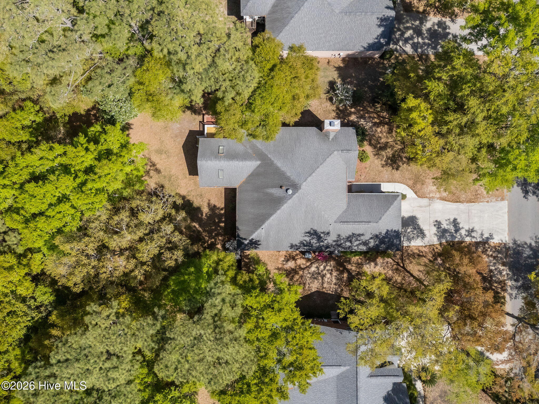 100565188 | Photo 45