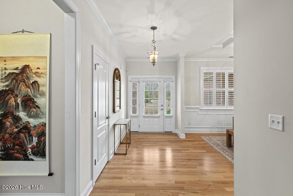 100558511 | Photo 31