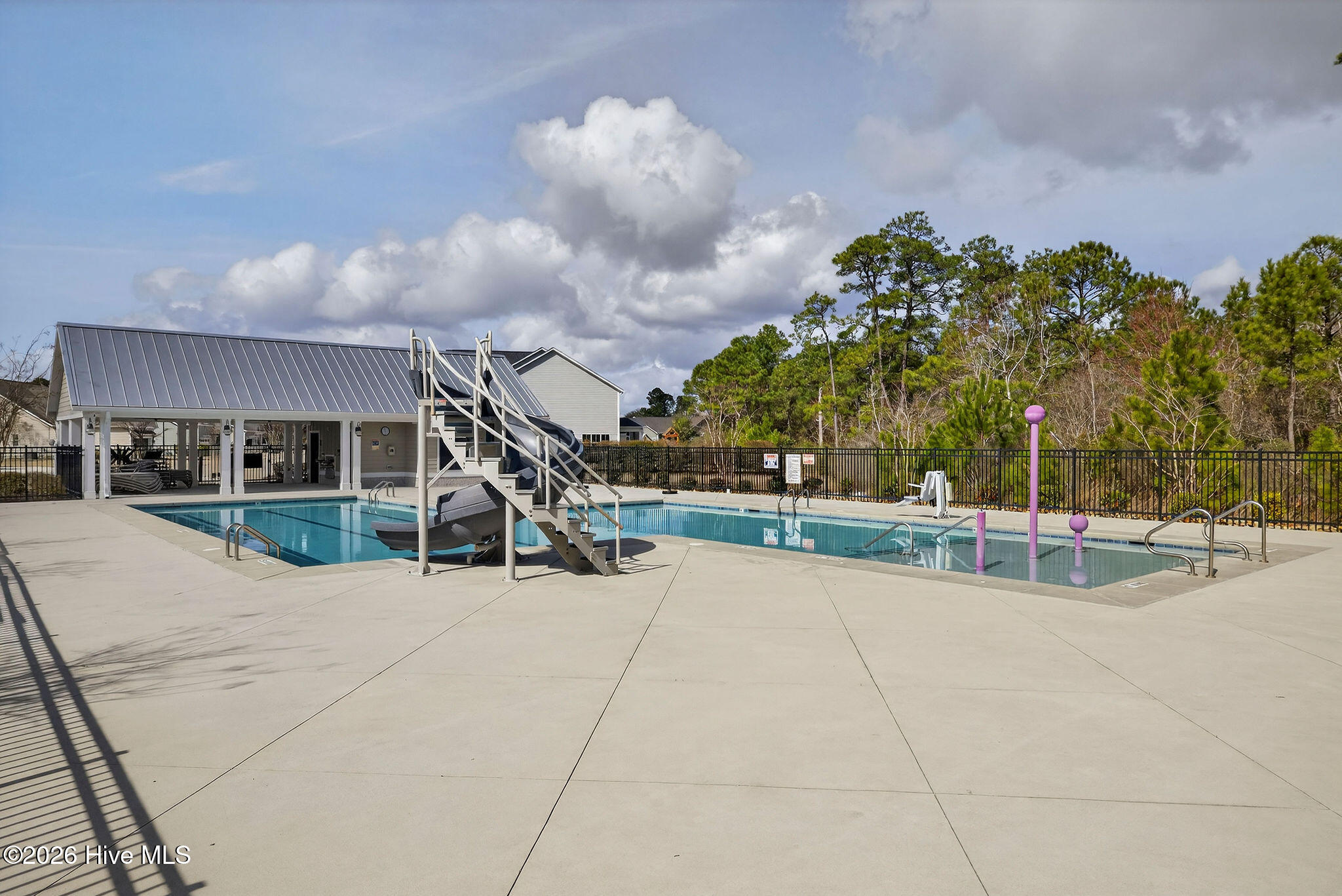 100563102 | Photo 50