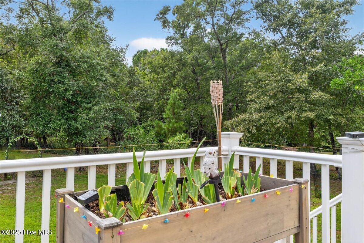 100530504 | Photo 53