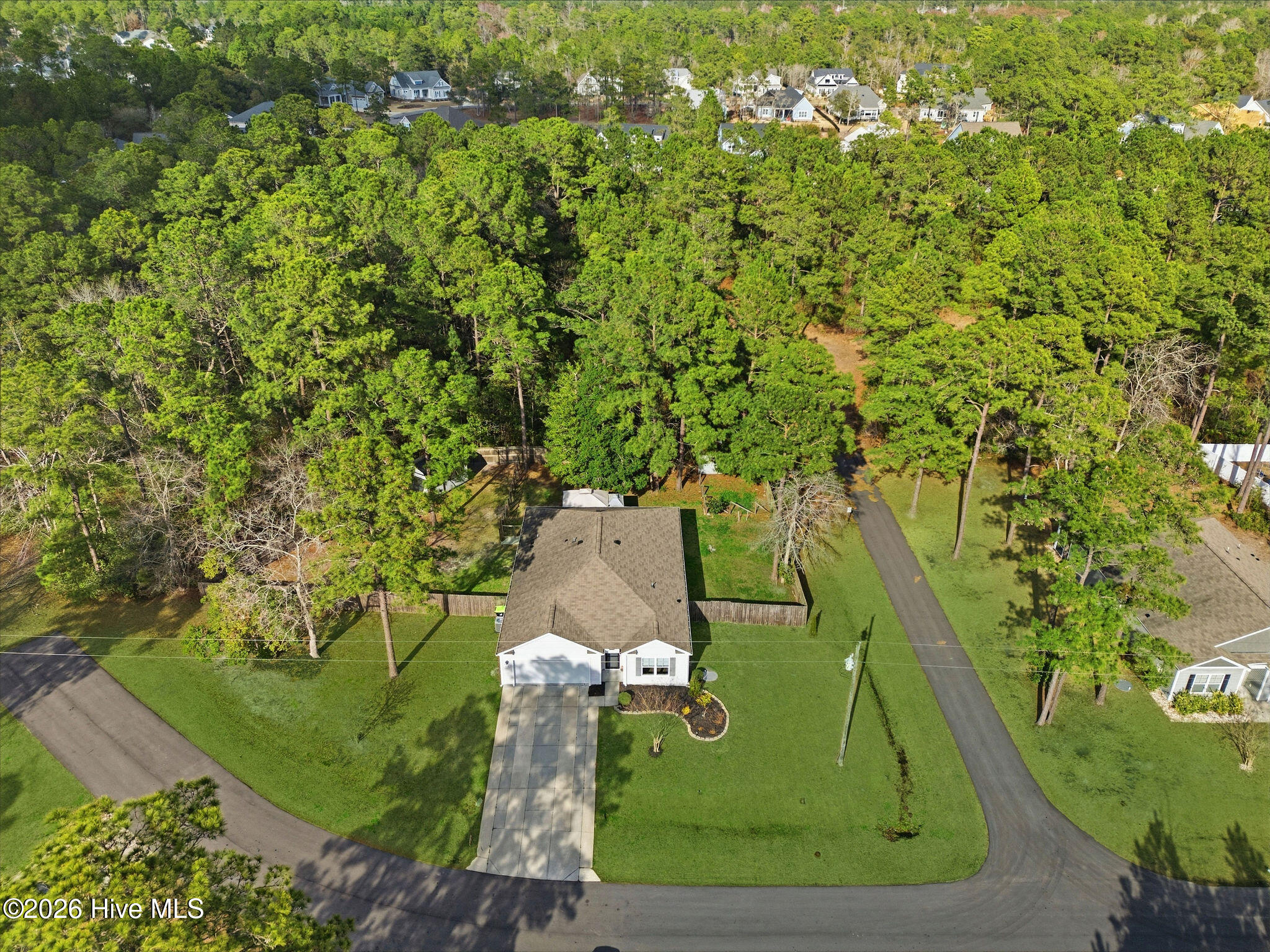 100538063 | Photo 71