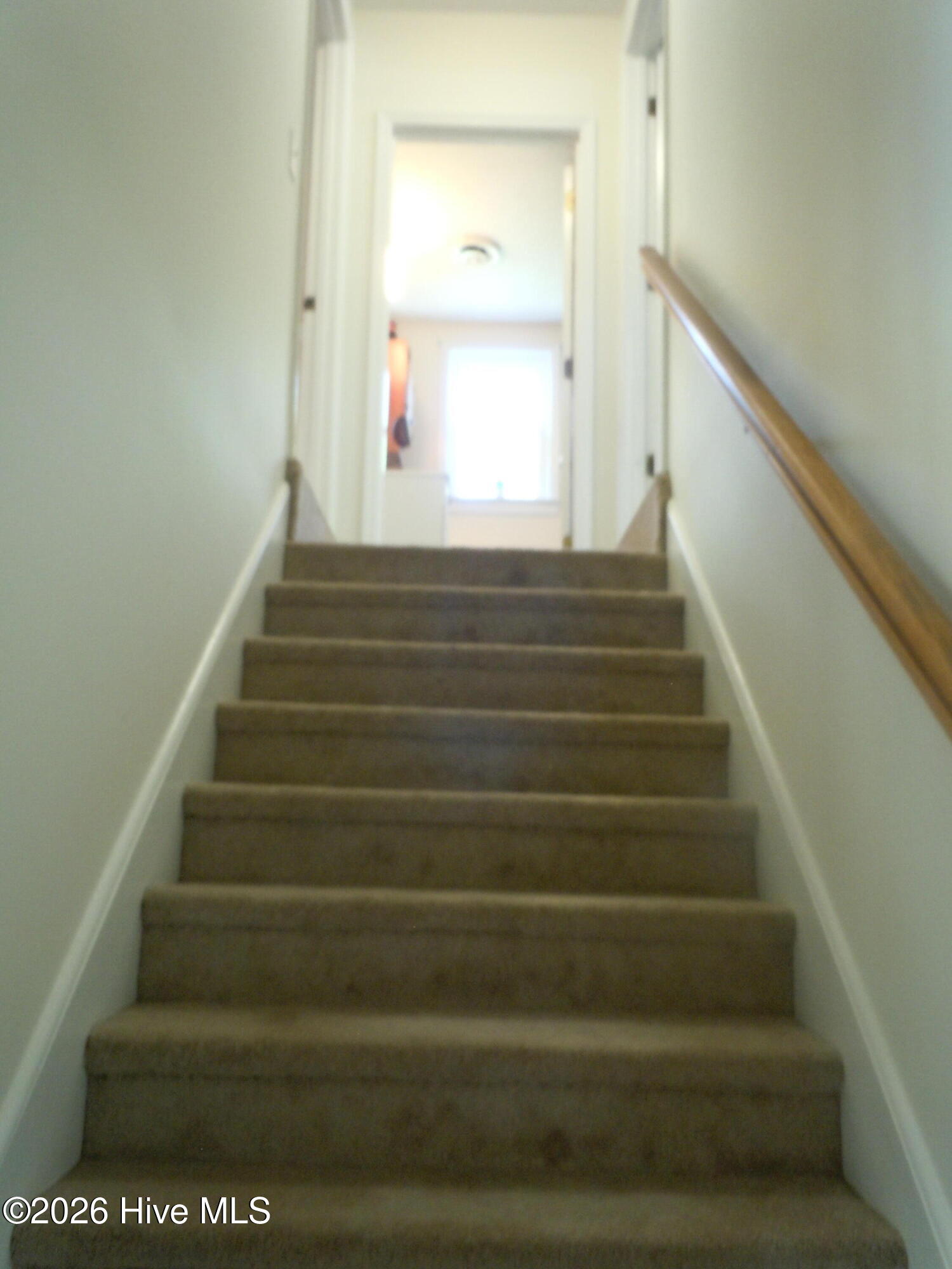 100565129 | Photo 41