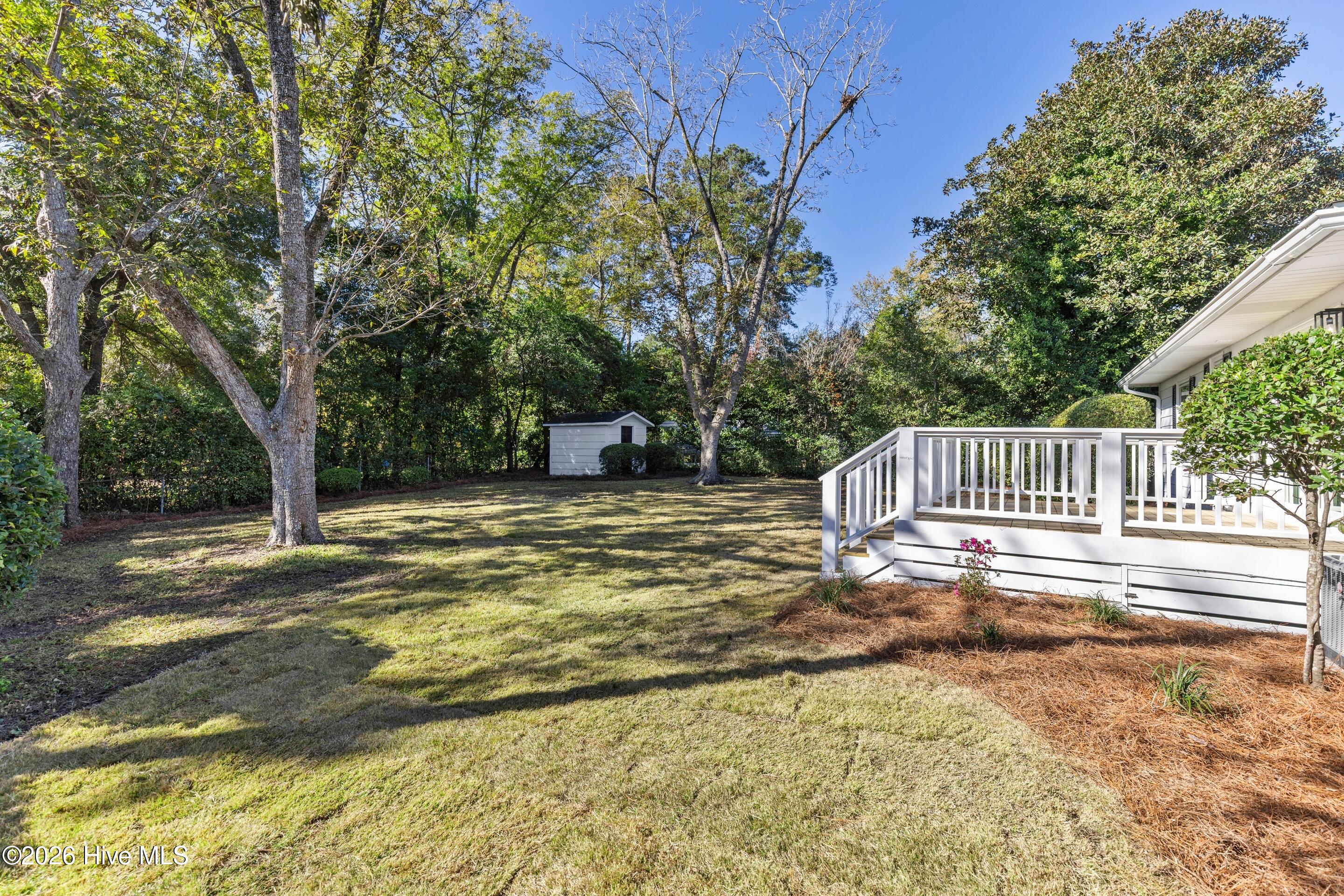 100552904 | Photo 23