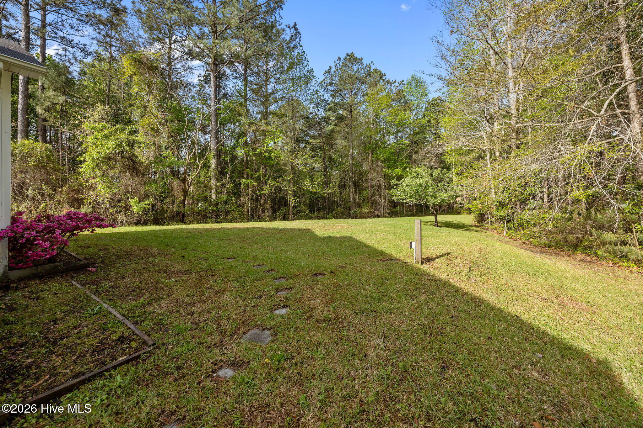 100565489 | Photo 42