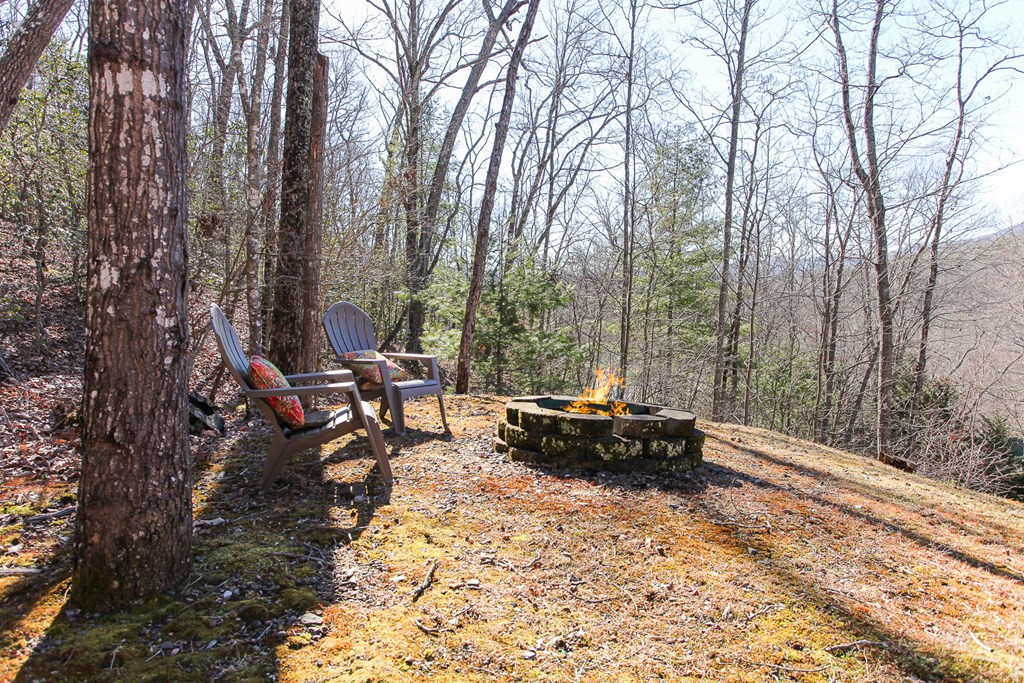 380 Bear Trail, Murphy, NC 28906 Listing Photo  65