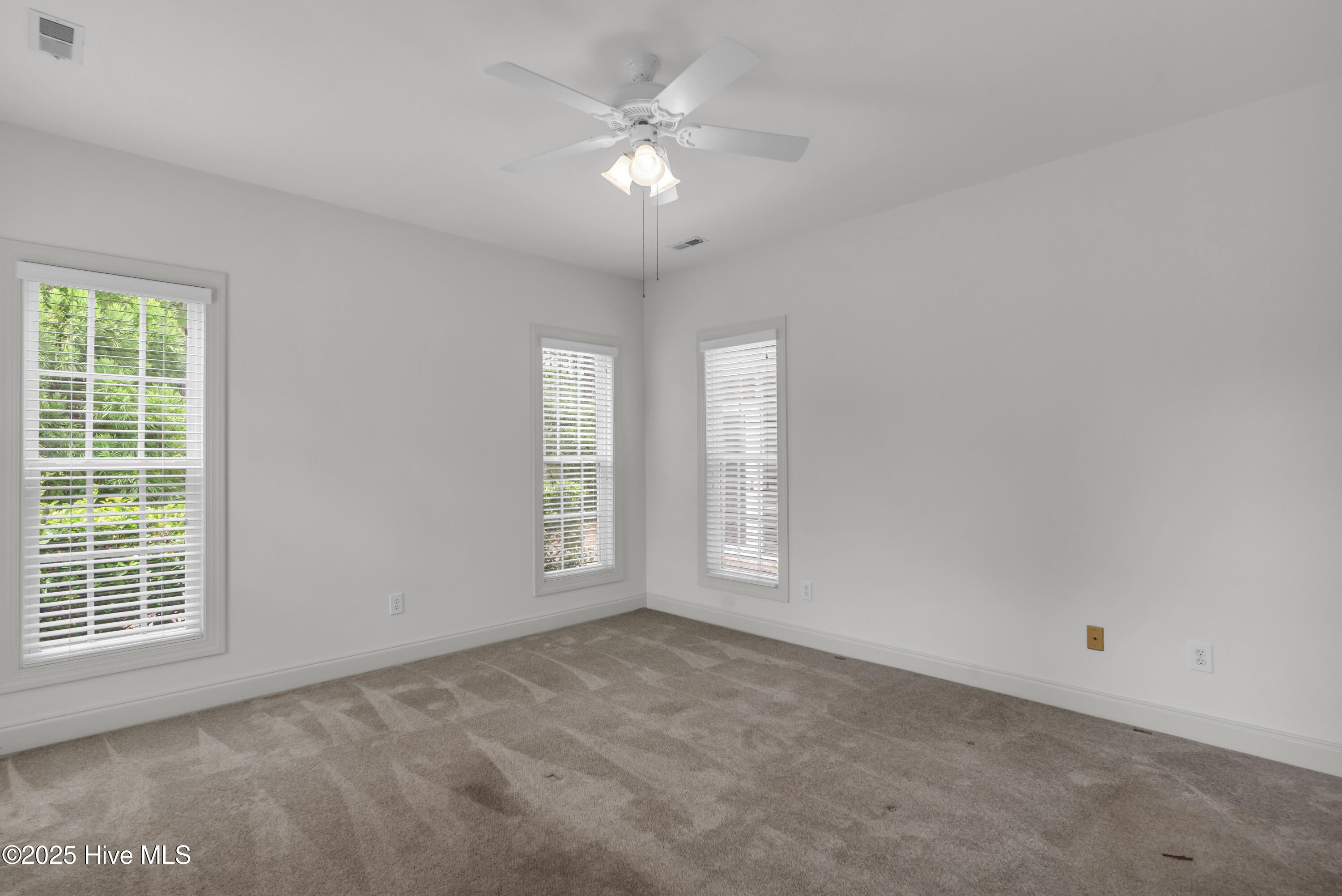 100523896 | Photo 23