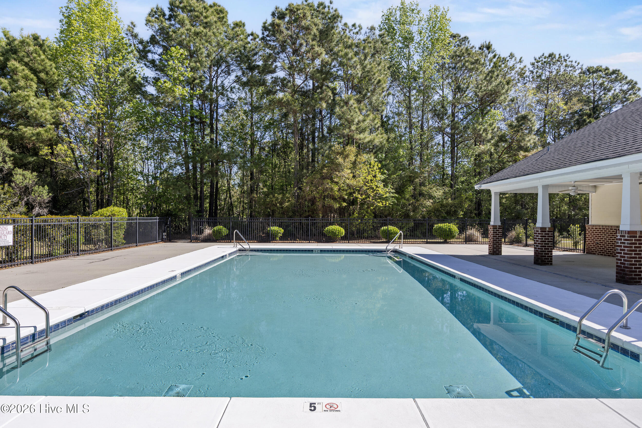 100567413 | Photo 28