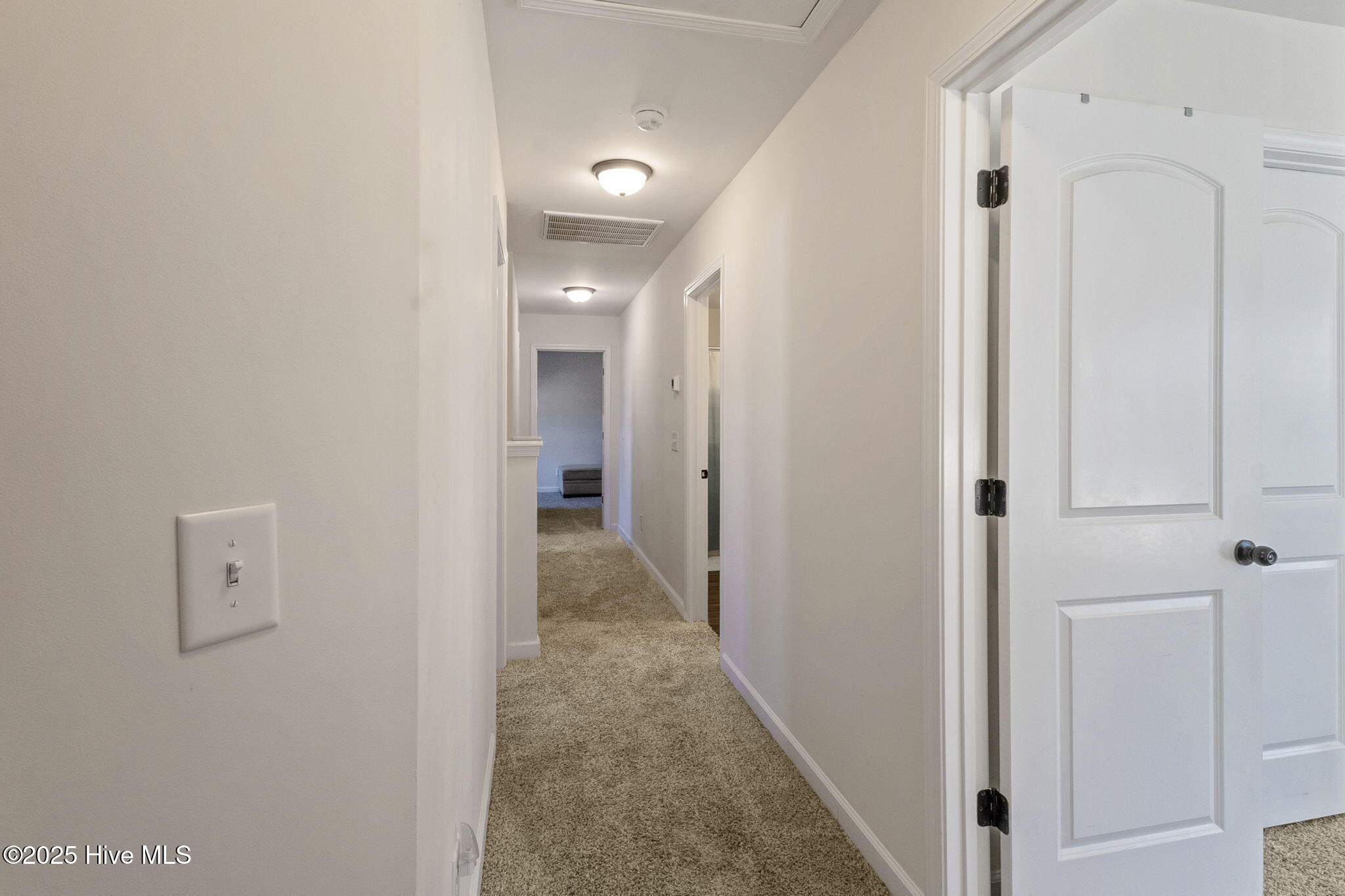 100538262 | Photo 21