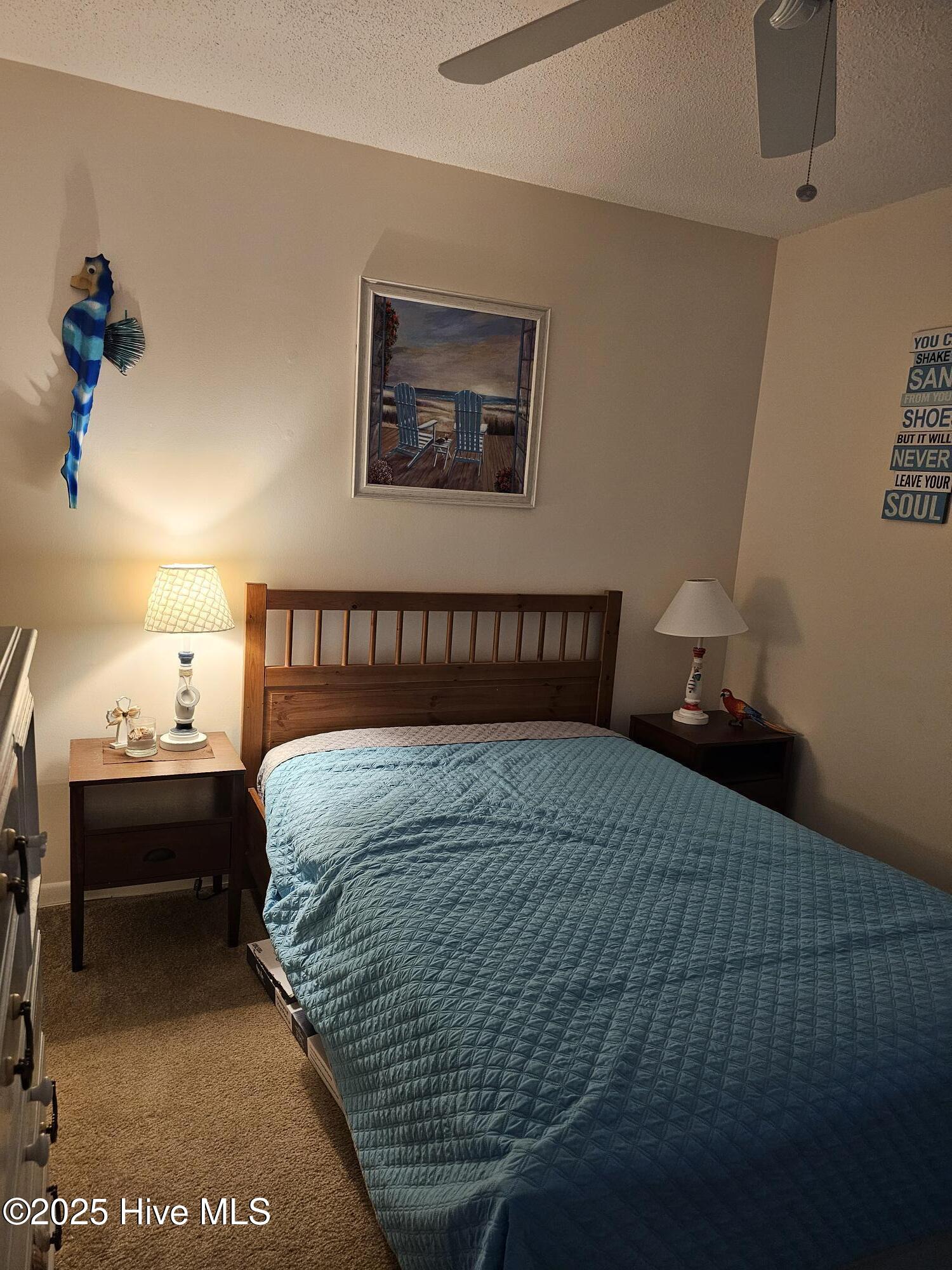 100537218 | Photo 25