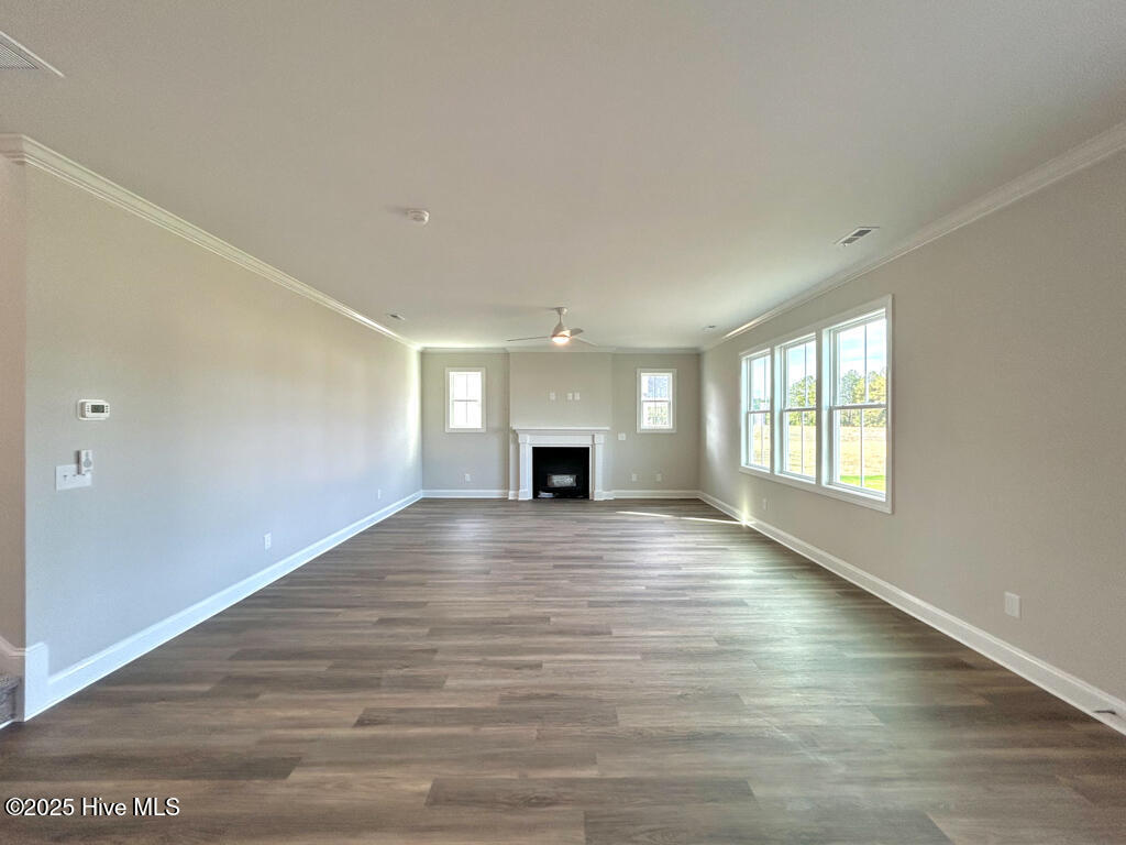 100535078 | Photo 25