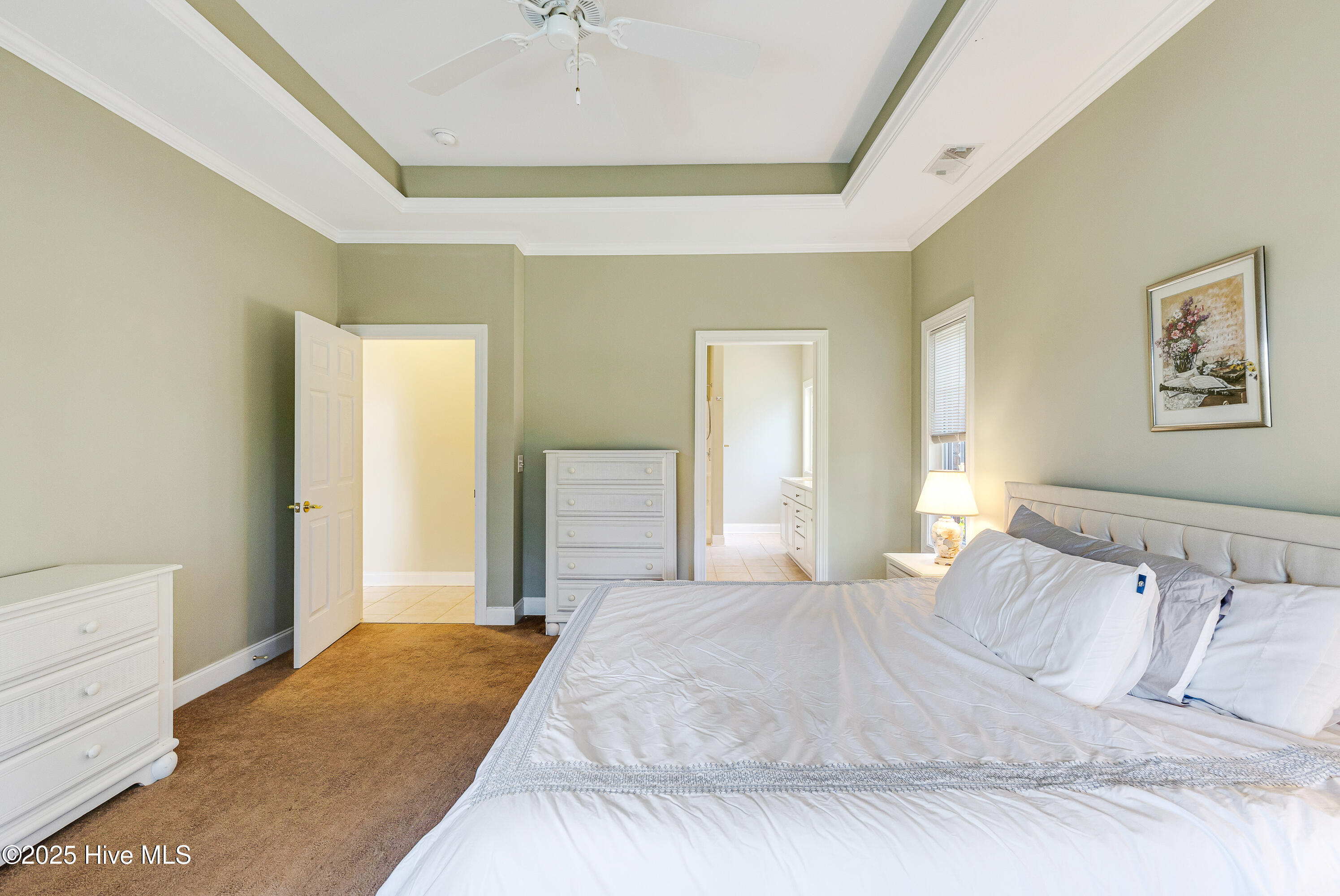 100537931 | Photo 23