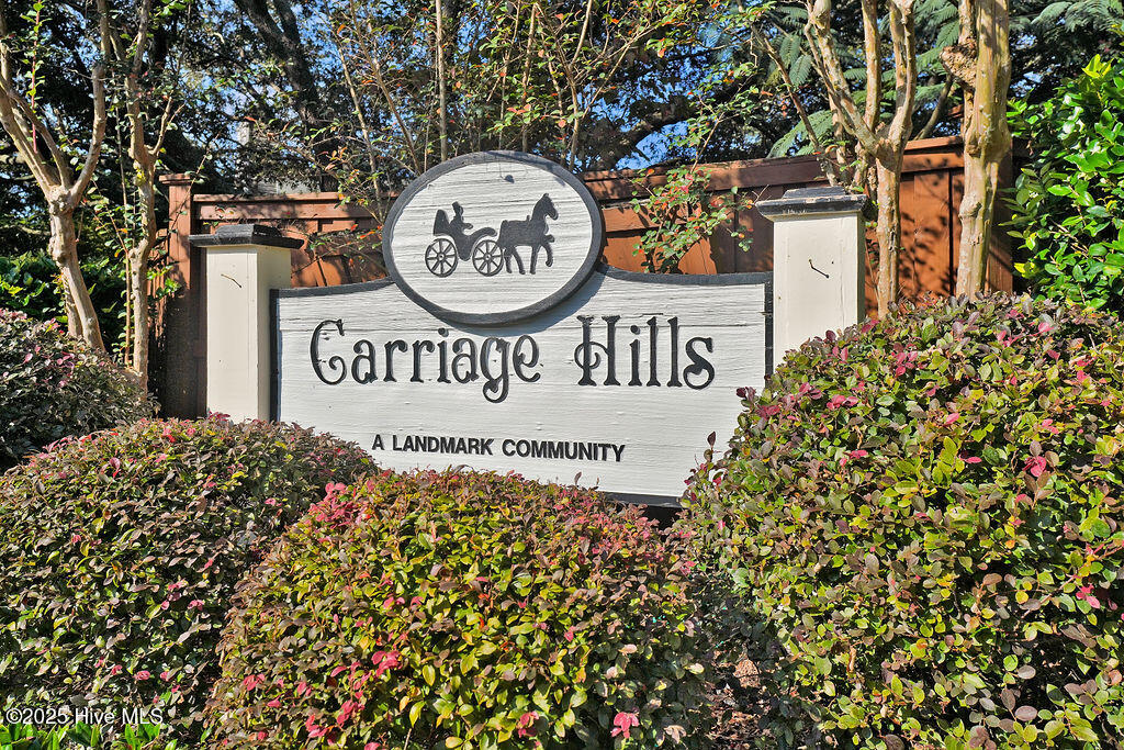 100536074 | Photo 30